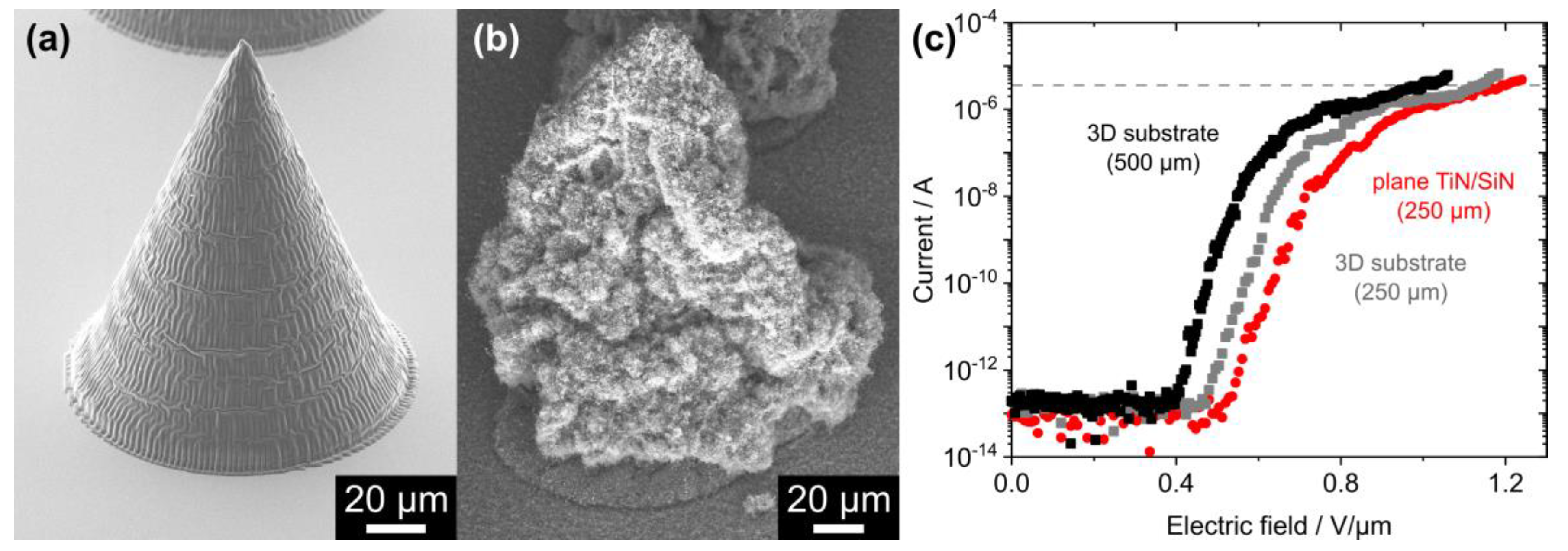 Nanomaterials 14 00781 g006