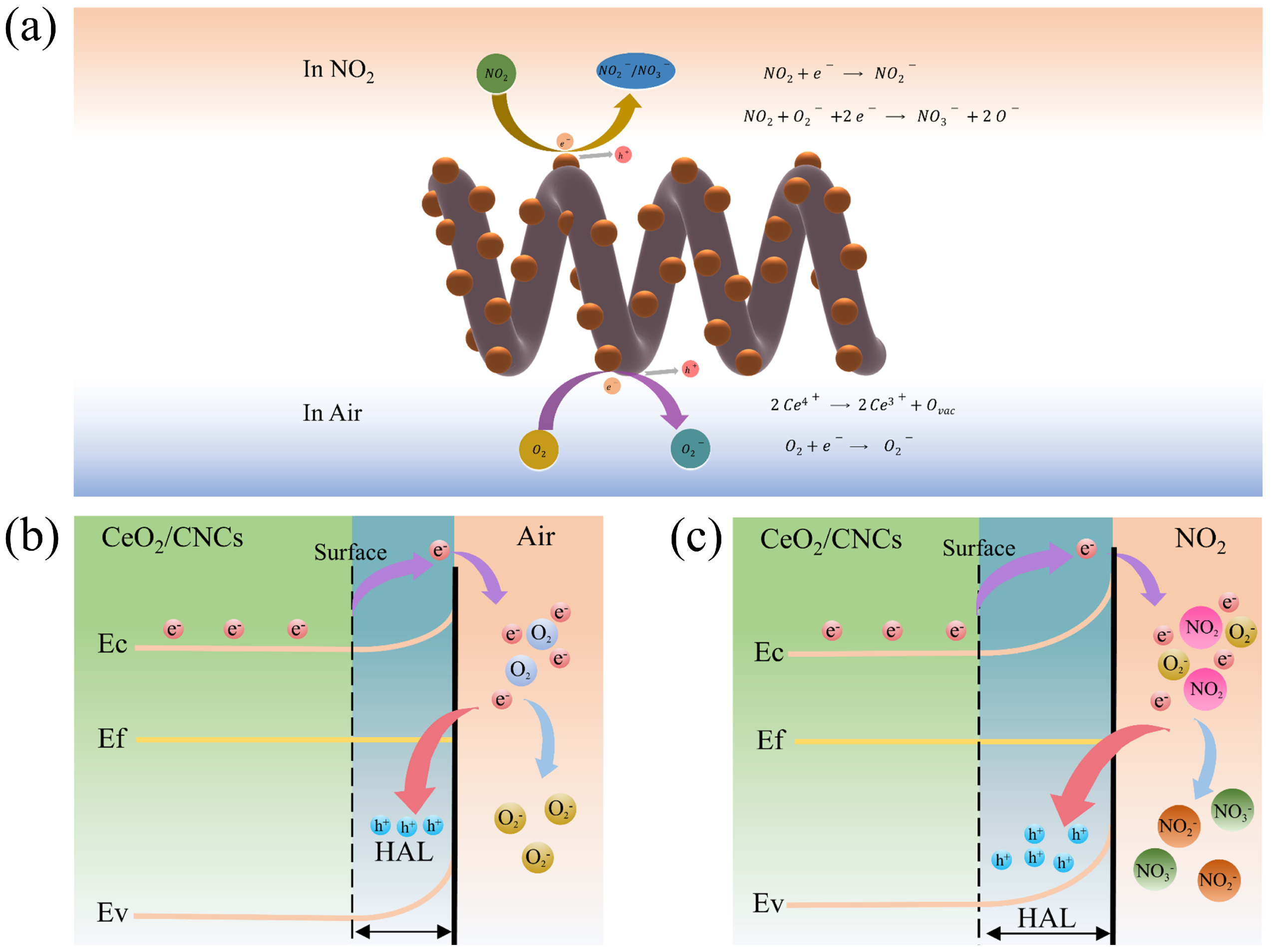 Nanomaterials 14 00812 g009