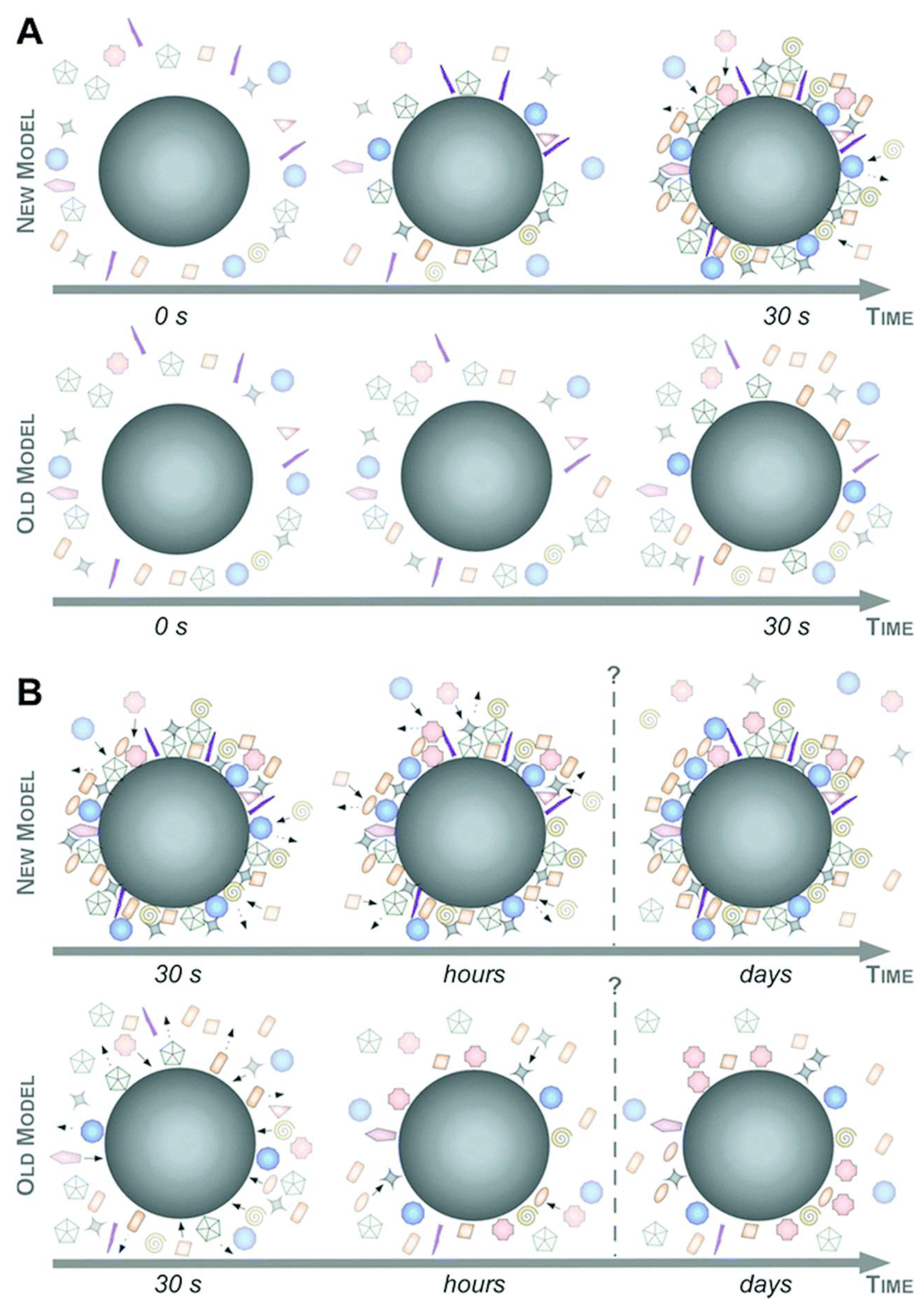 Nanomaterials 14 00823 g002