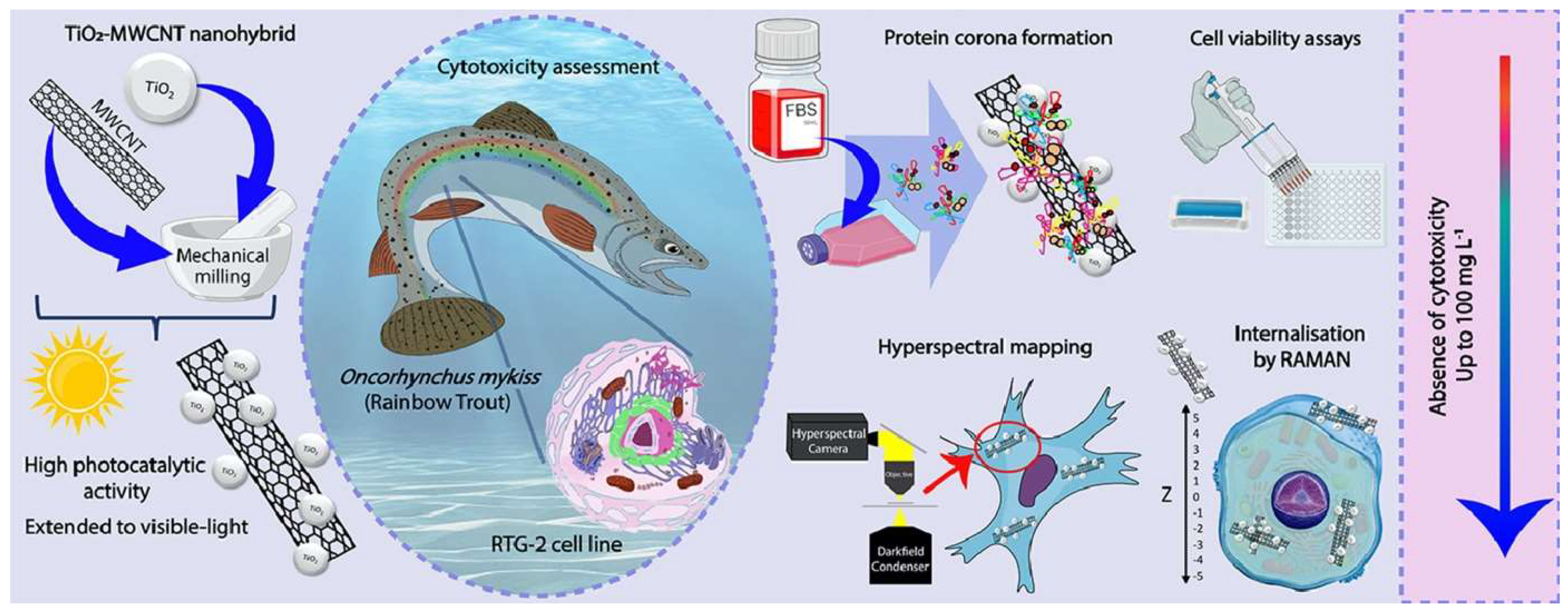 Nanomaterials 14 00823 g005