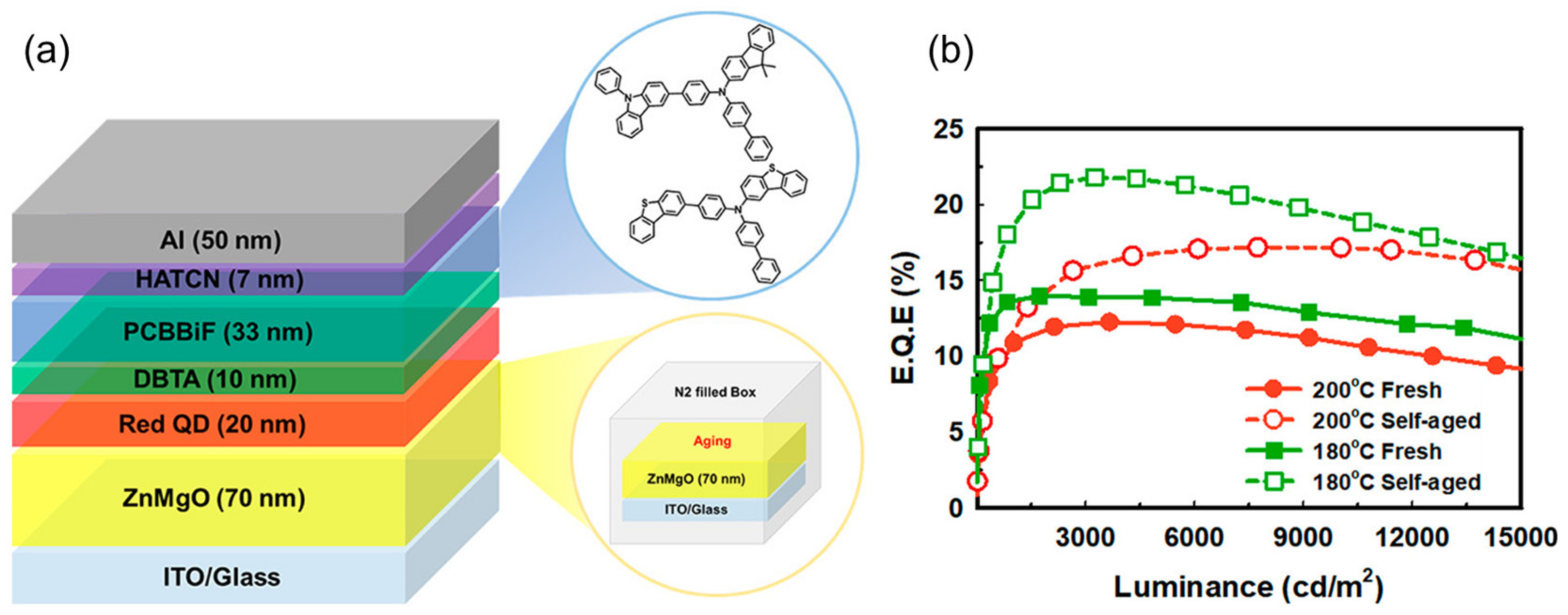 Nanomaterials 14 00832 g005
