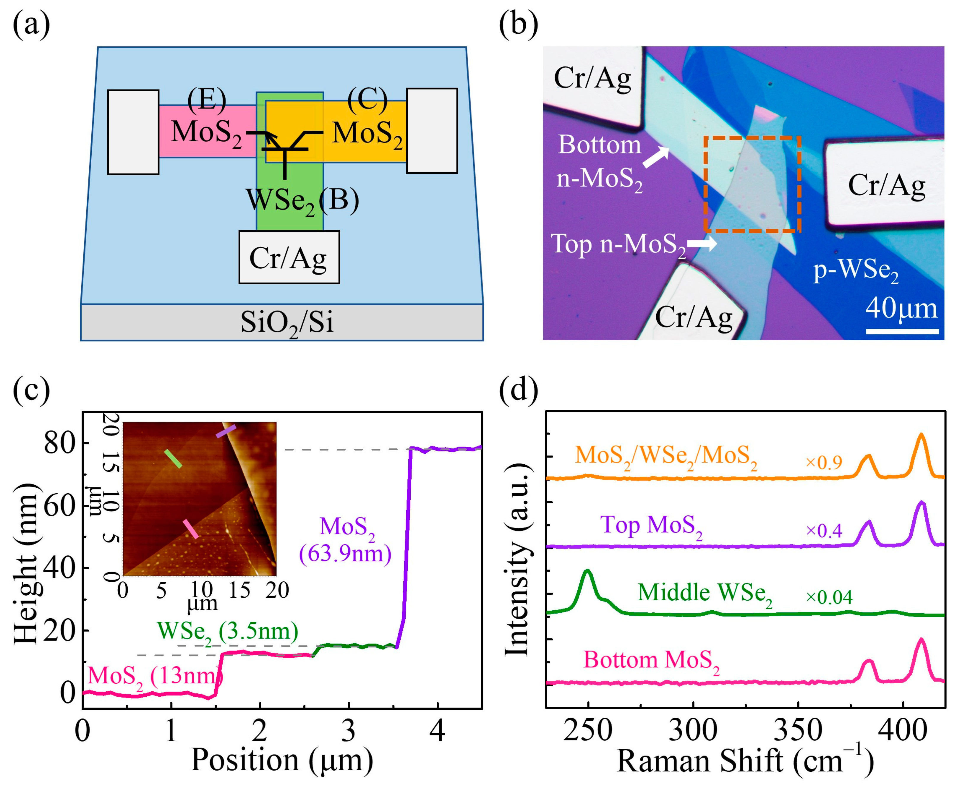 Nanomaterials 14 00851 g001