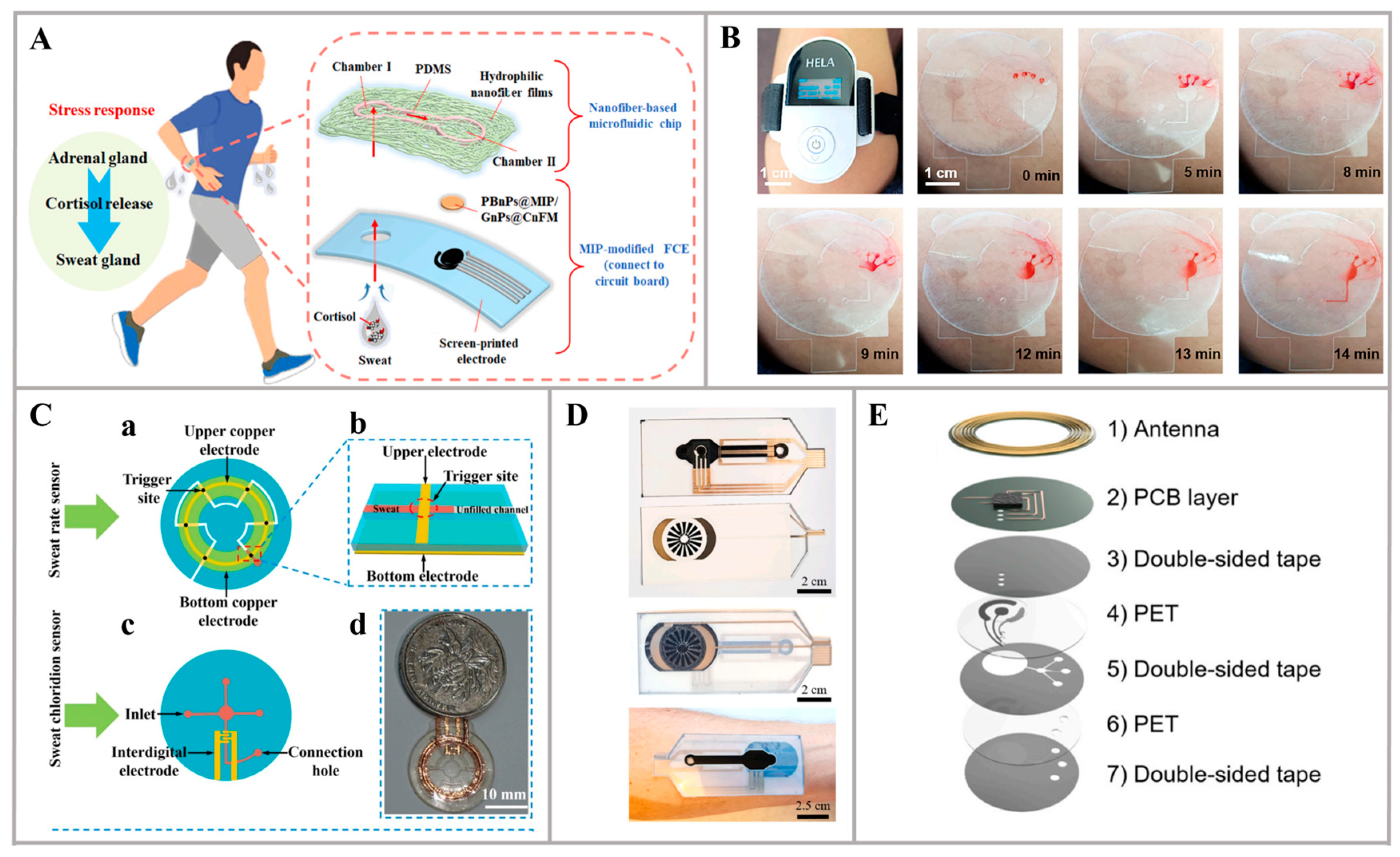 Nanomaterials 14 00857 g004