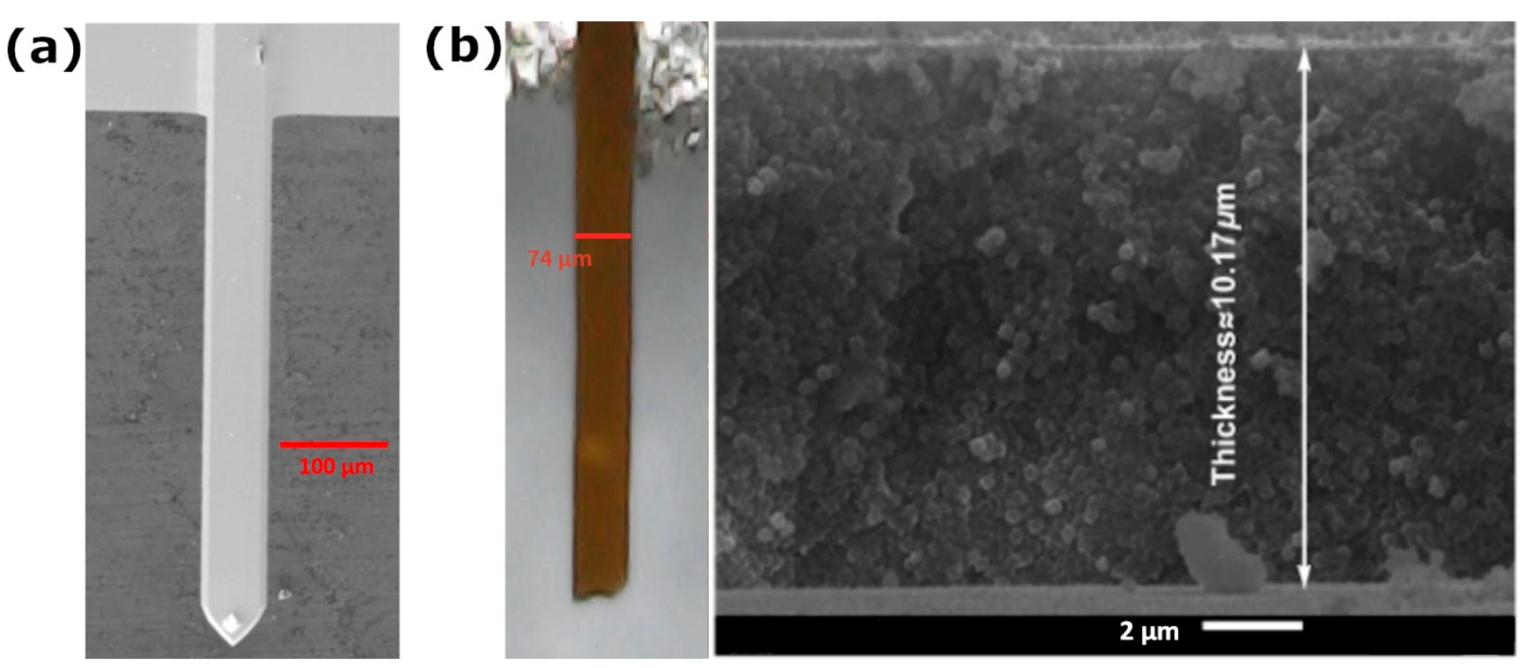Nanomaterials 14 00874 g004