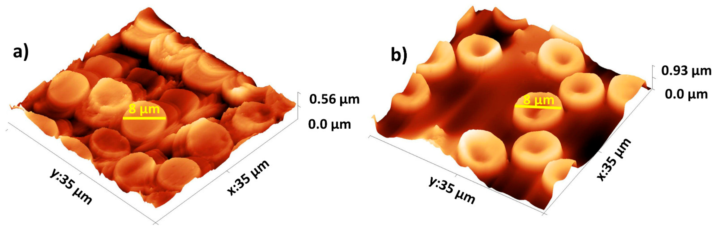 Nanomaterials 14 00874 g007