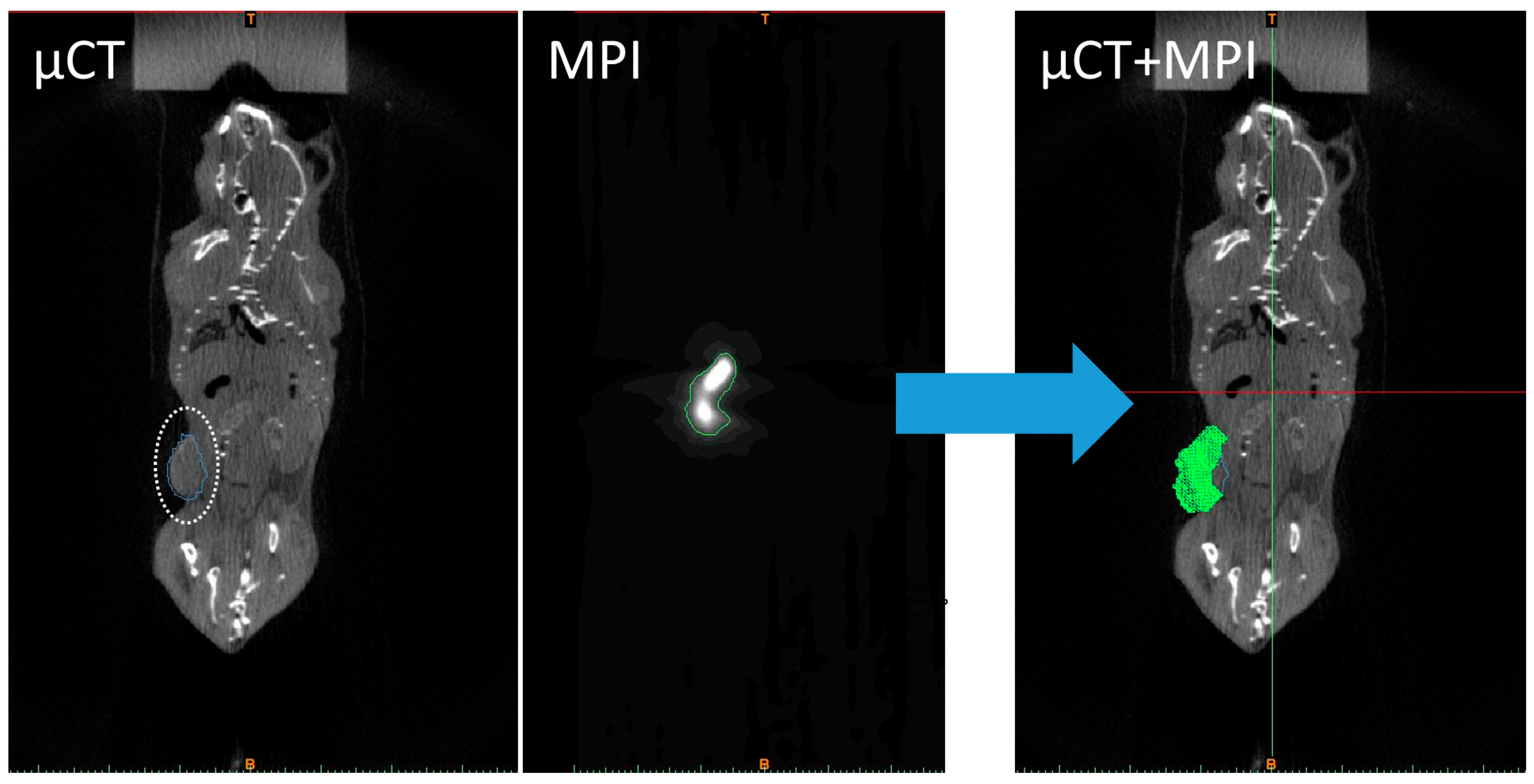 Nanomaterials 14 01059 g002