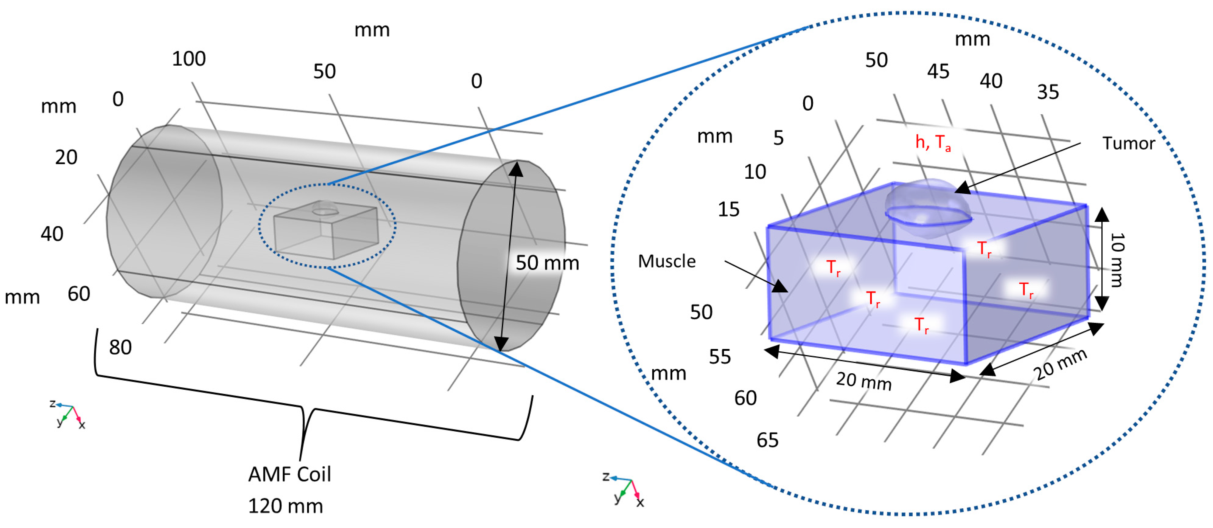 Nanomaterials 14 01059 g005