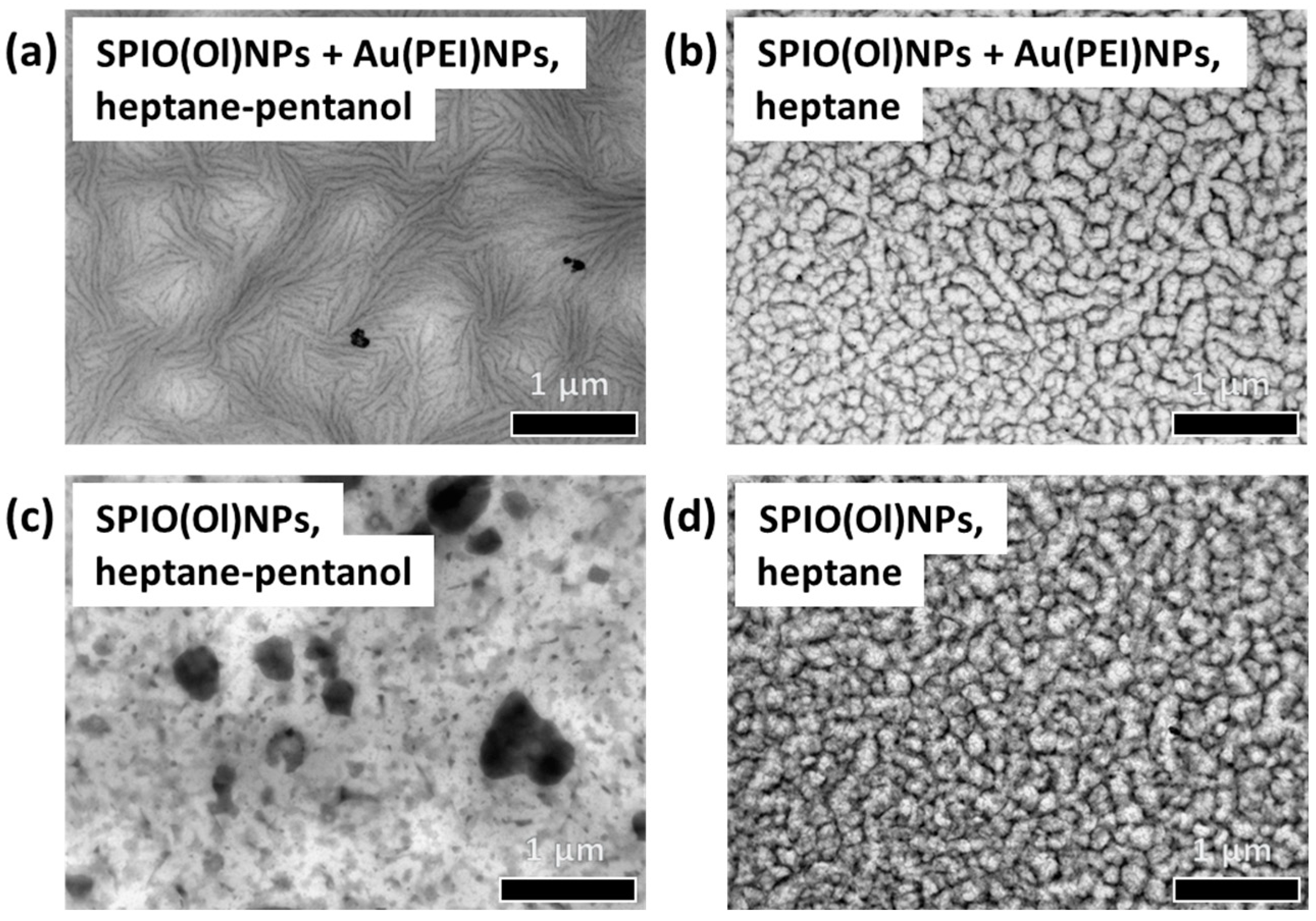 Nanomaterials 14 01726 g002 Nanomaterials 14 01726 g002