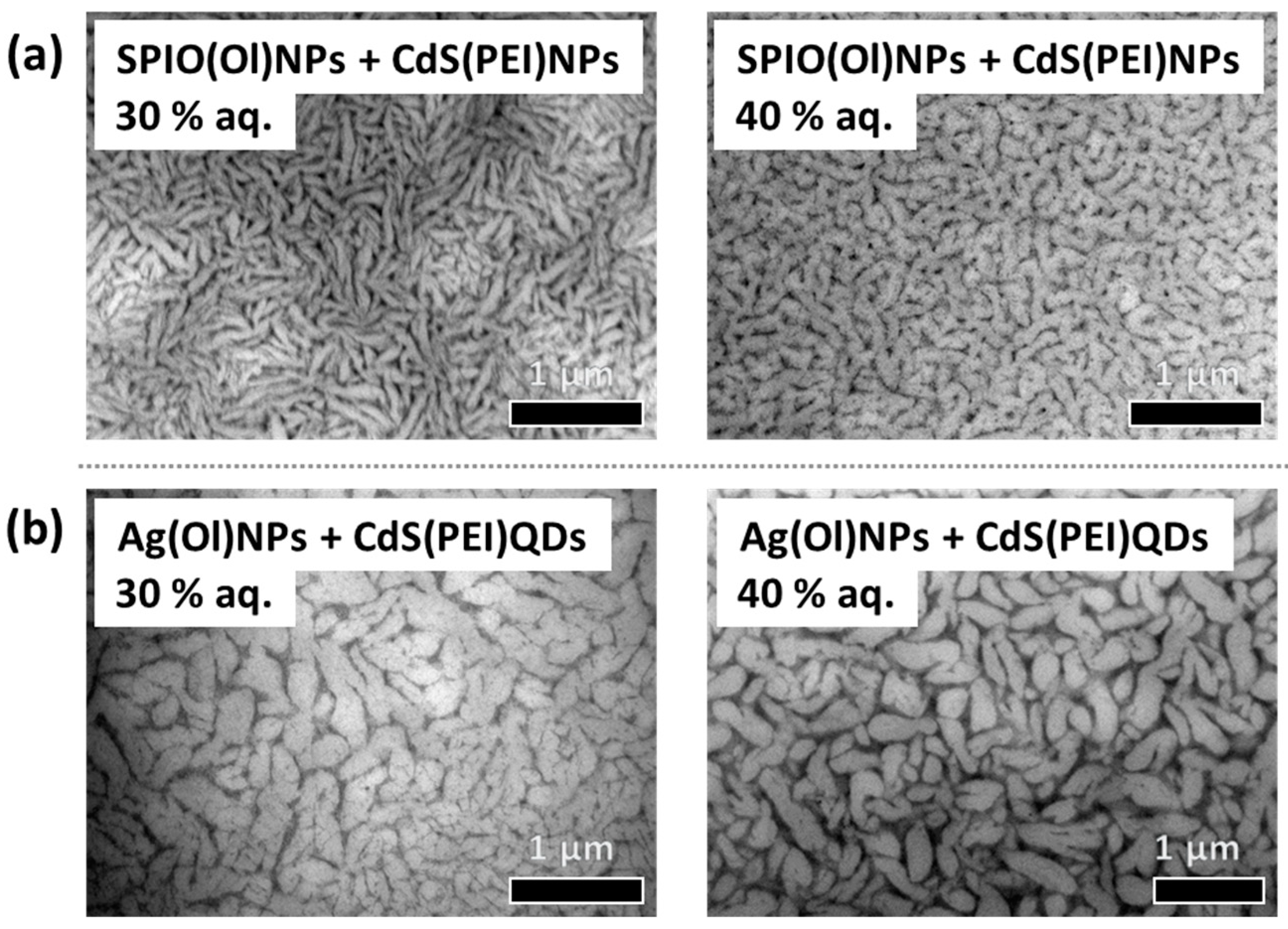 Nanomaterials 14 01726 g004 Nanomaterials 14 01726 g004