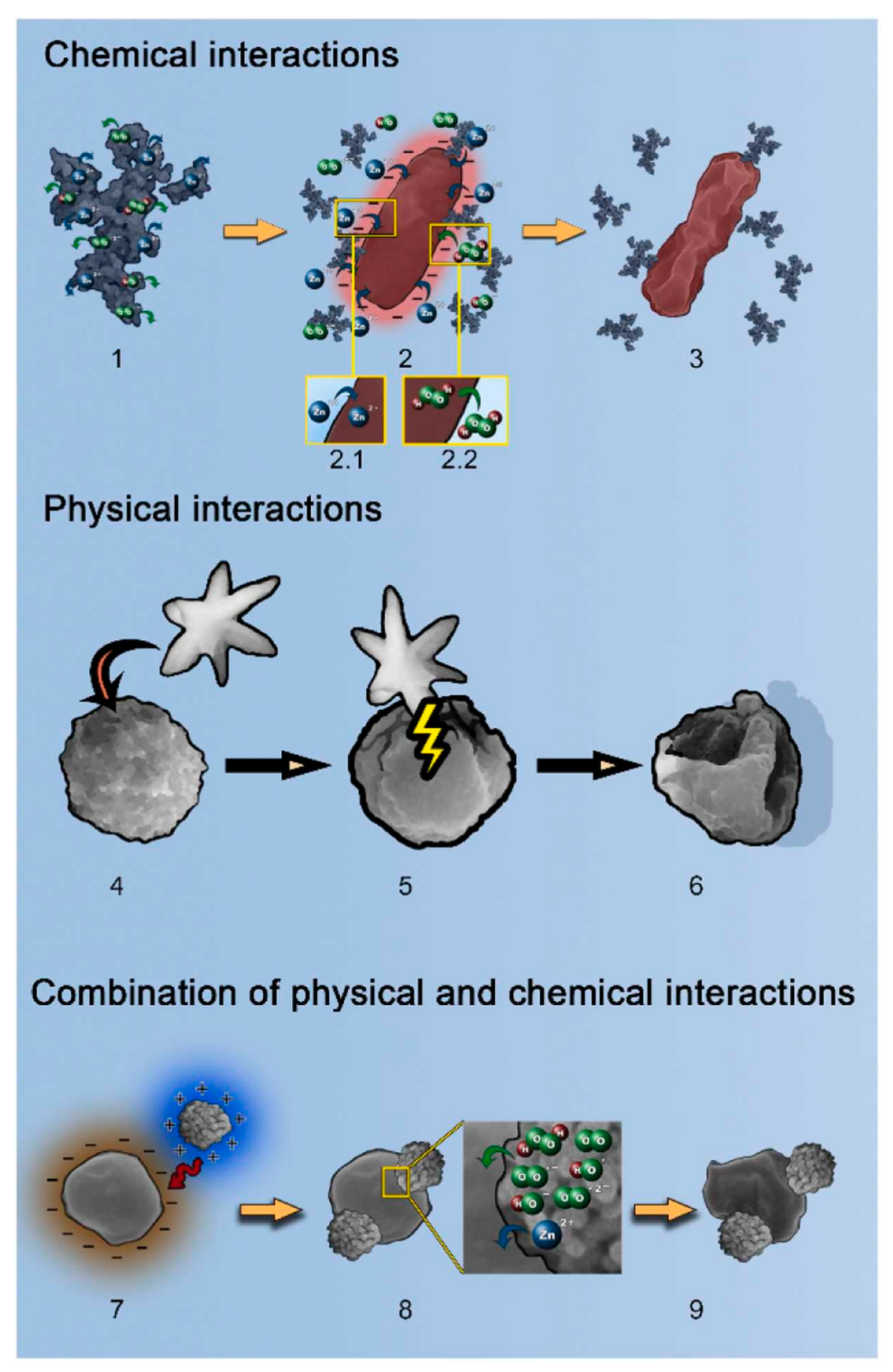 Nanomaterials 15 00682 g010