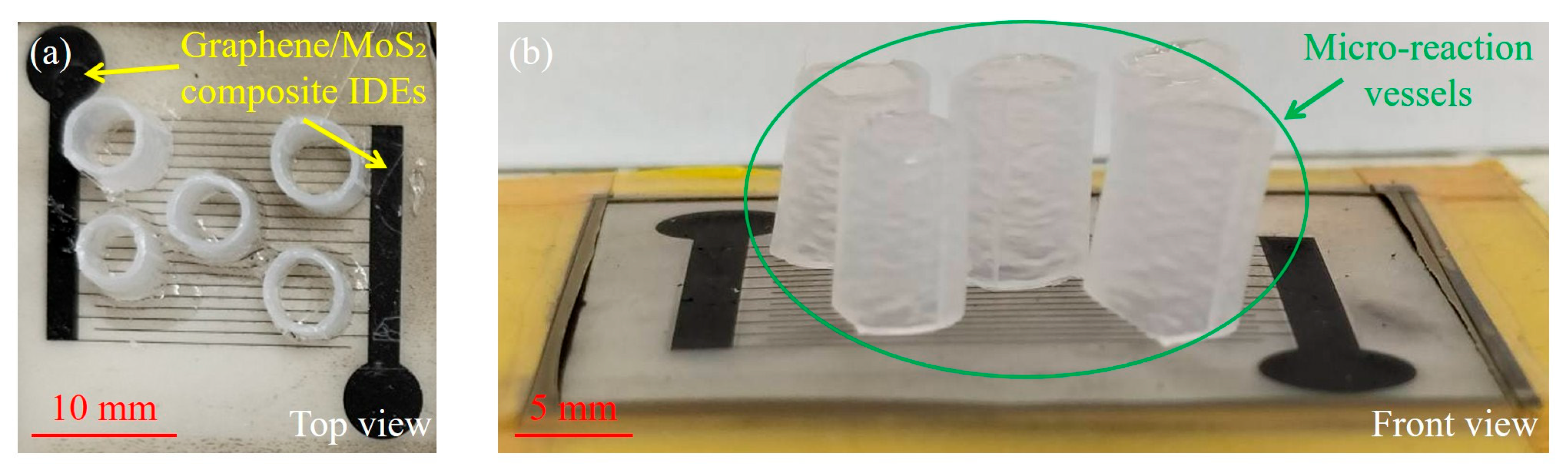 Nanomaterials 15 01115 g003