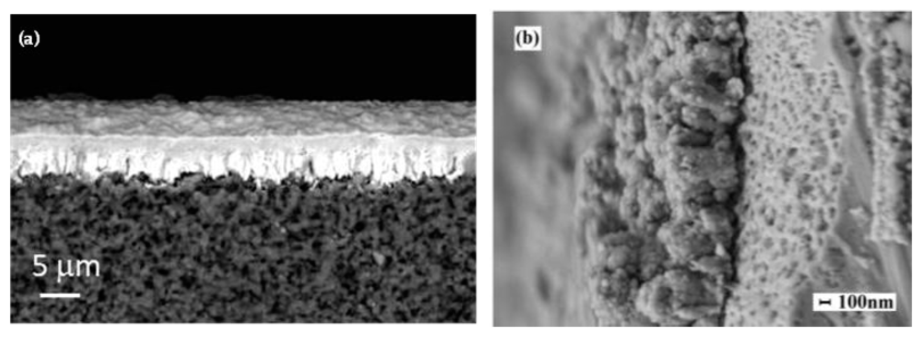 Nanomaterials 15 01388 g017 Nanomaterials 15 01388 g017