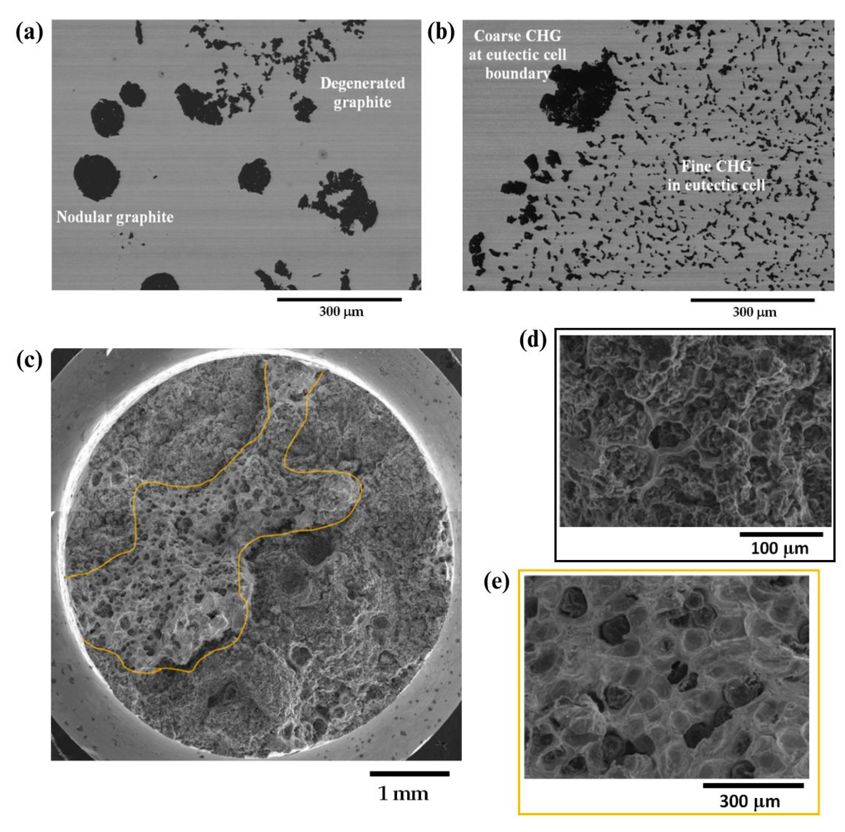 Nanomaterials 15 01388 g026 Nanomaterials 15 01388 g026
