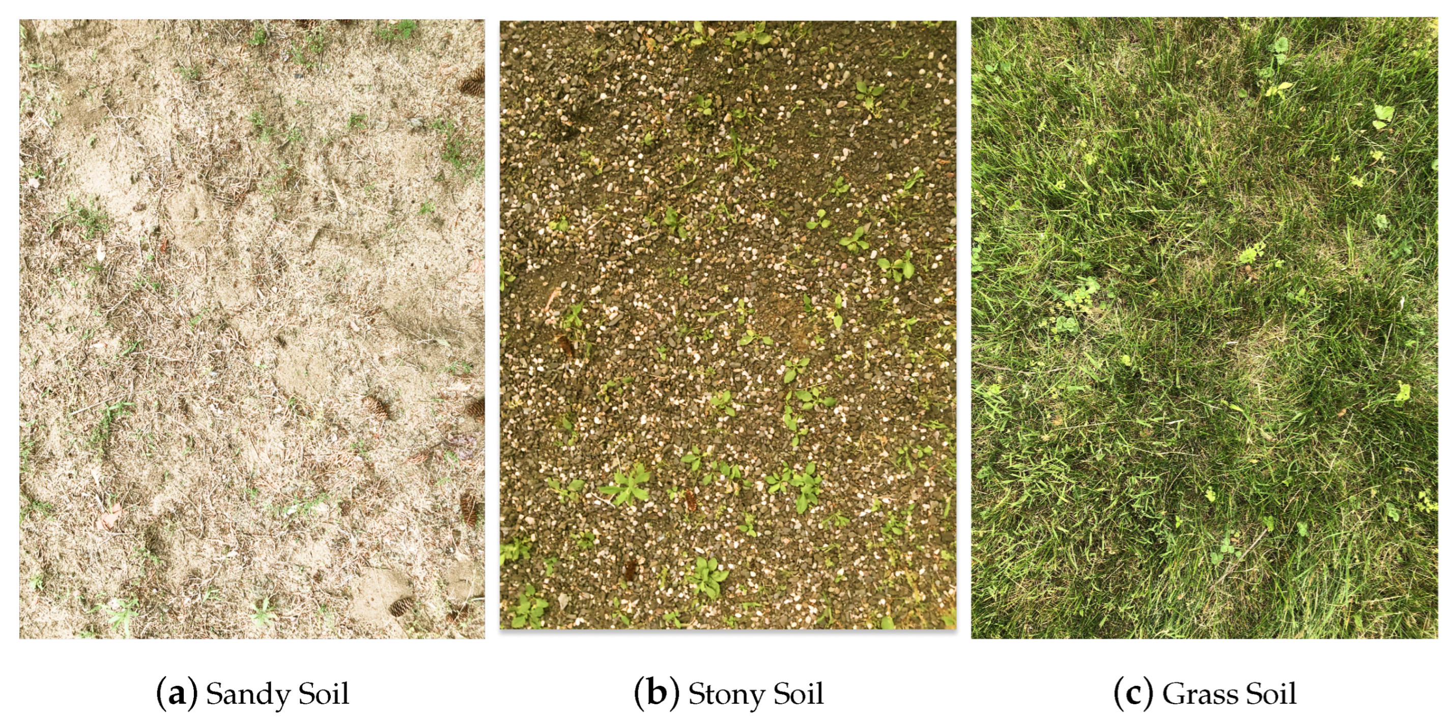 Network 03 00021 g003