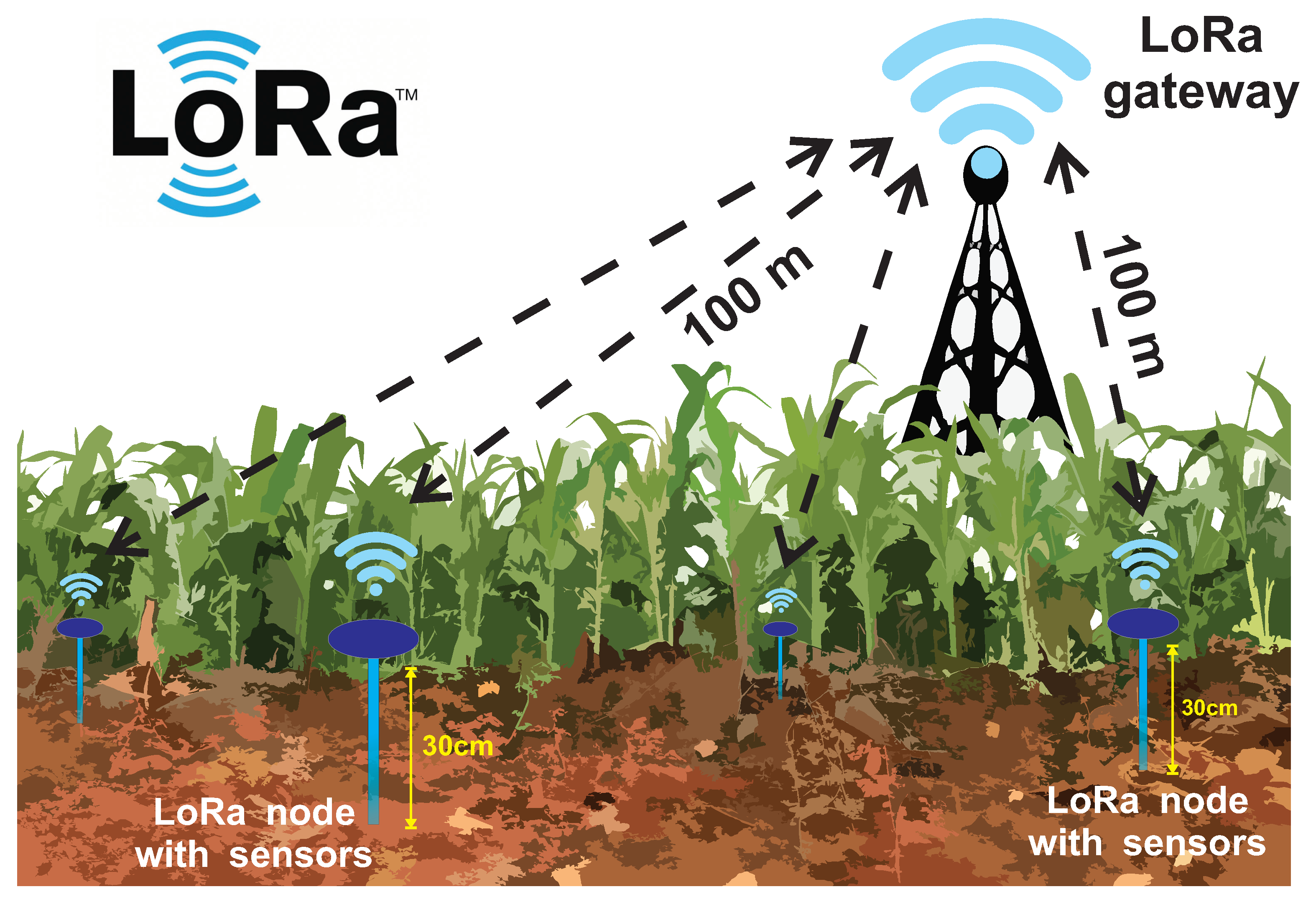 Network 03 00021 g007