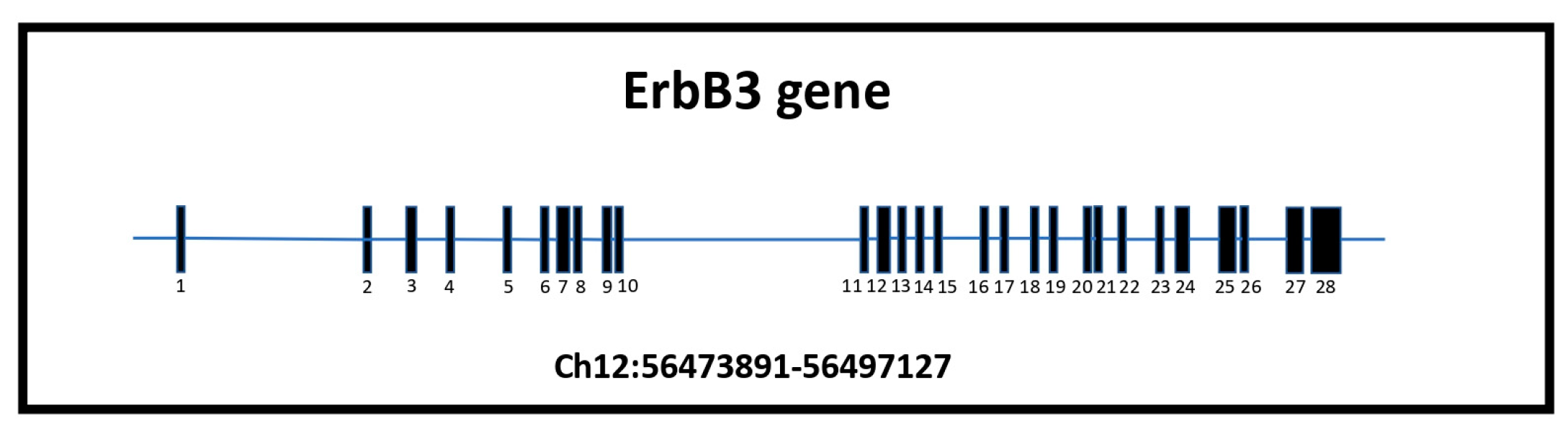 Neuroglia 04 00018 g003