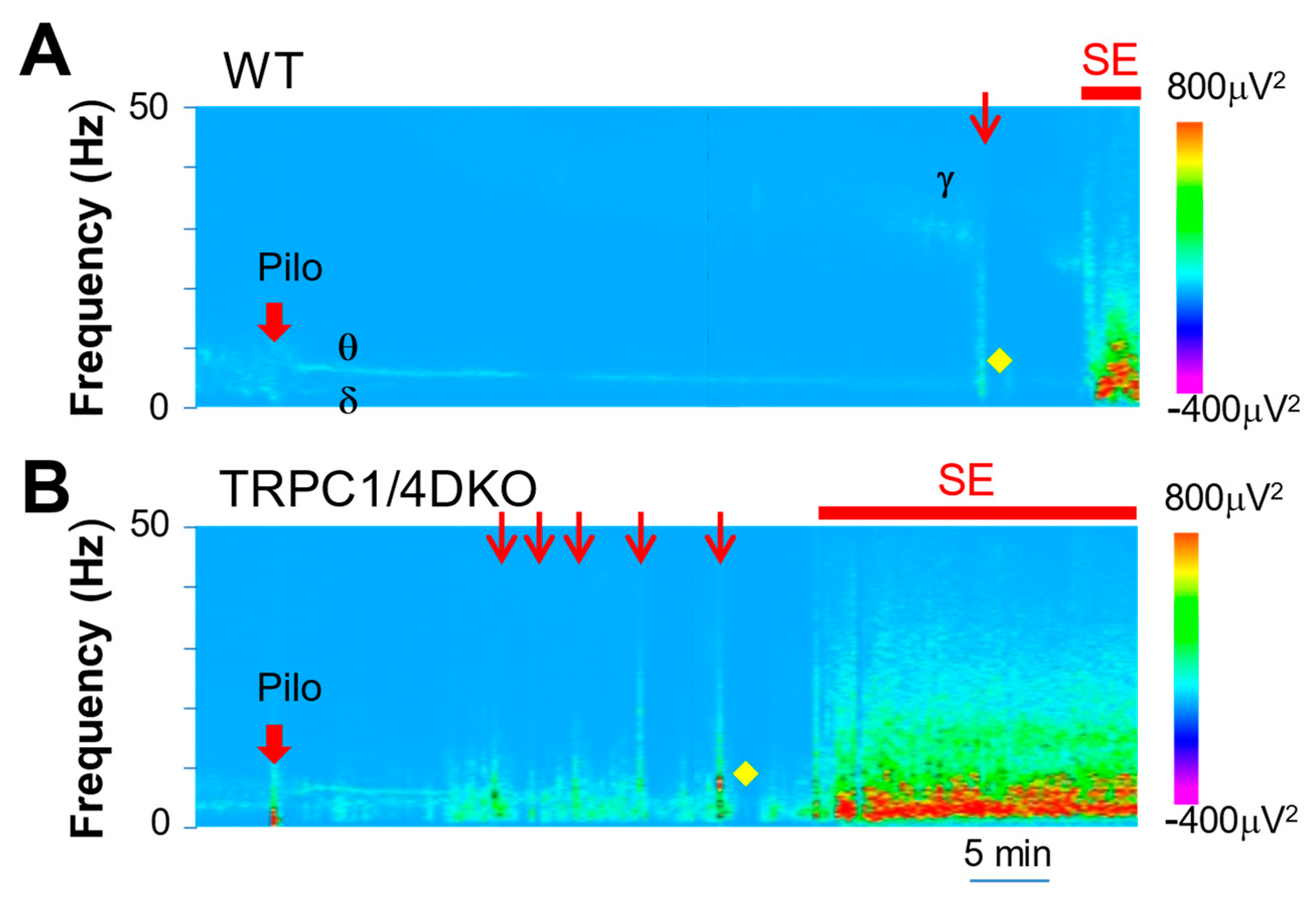 Neurolint 15 00095 g004