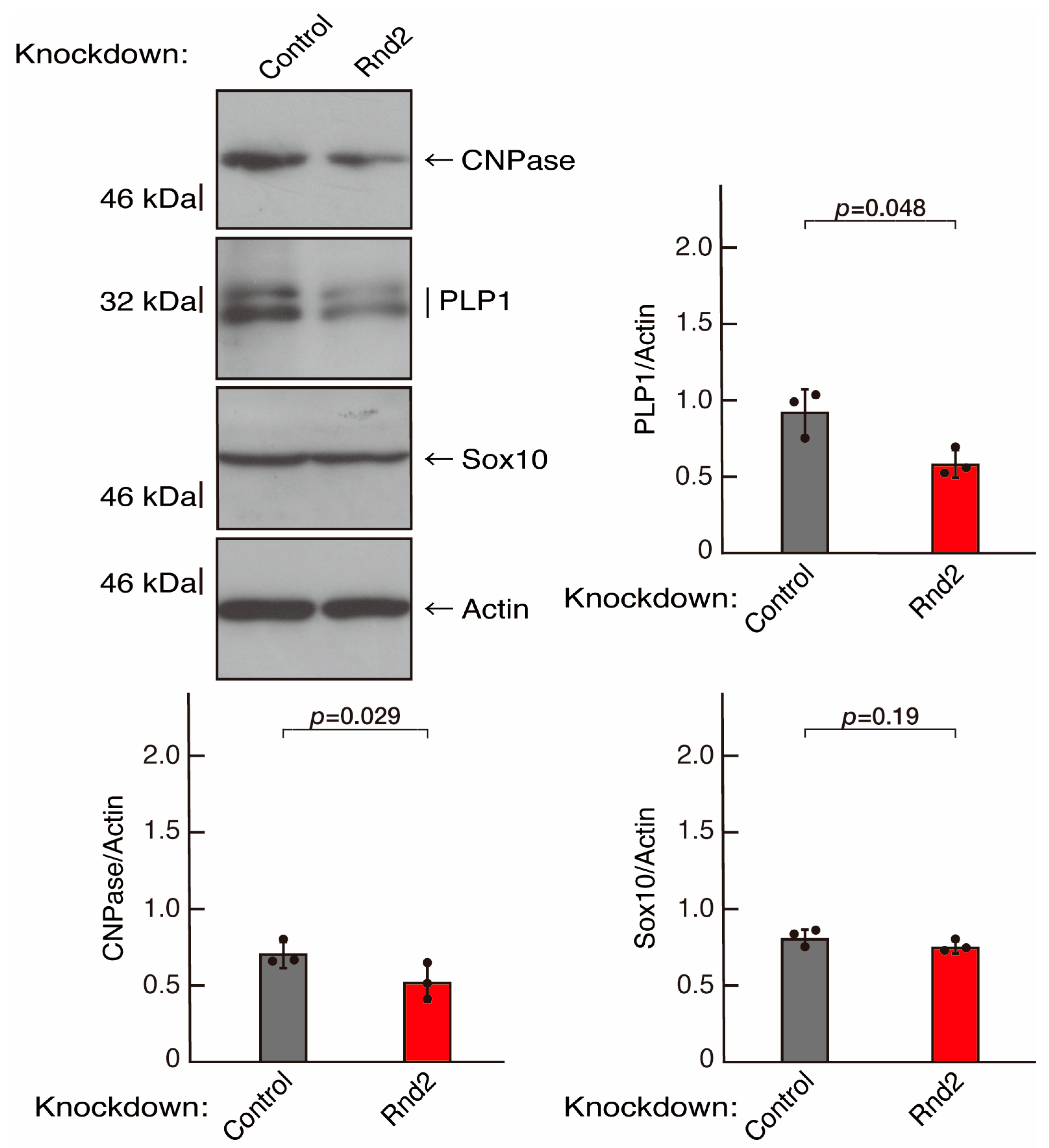 Neurolint 16 00003 g002