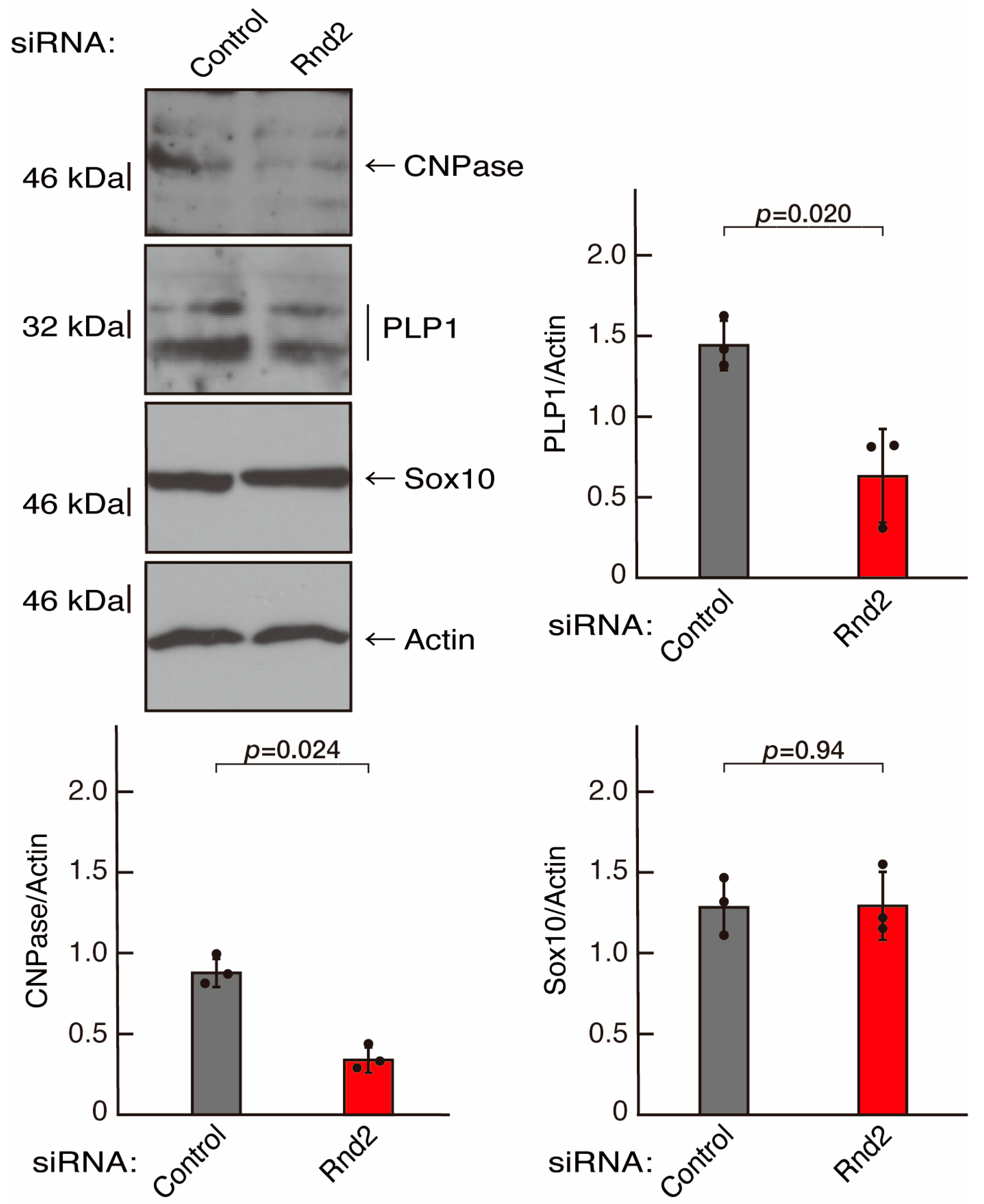 Neurolint 16 00003 g004