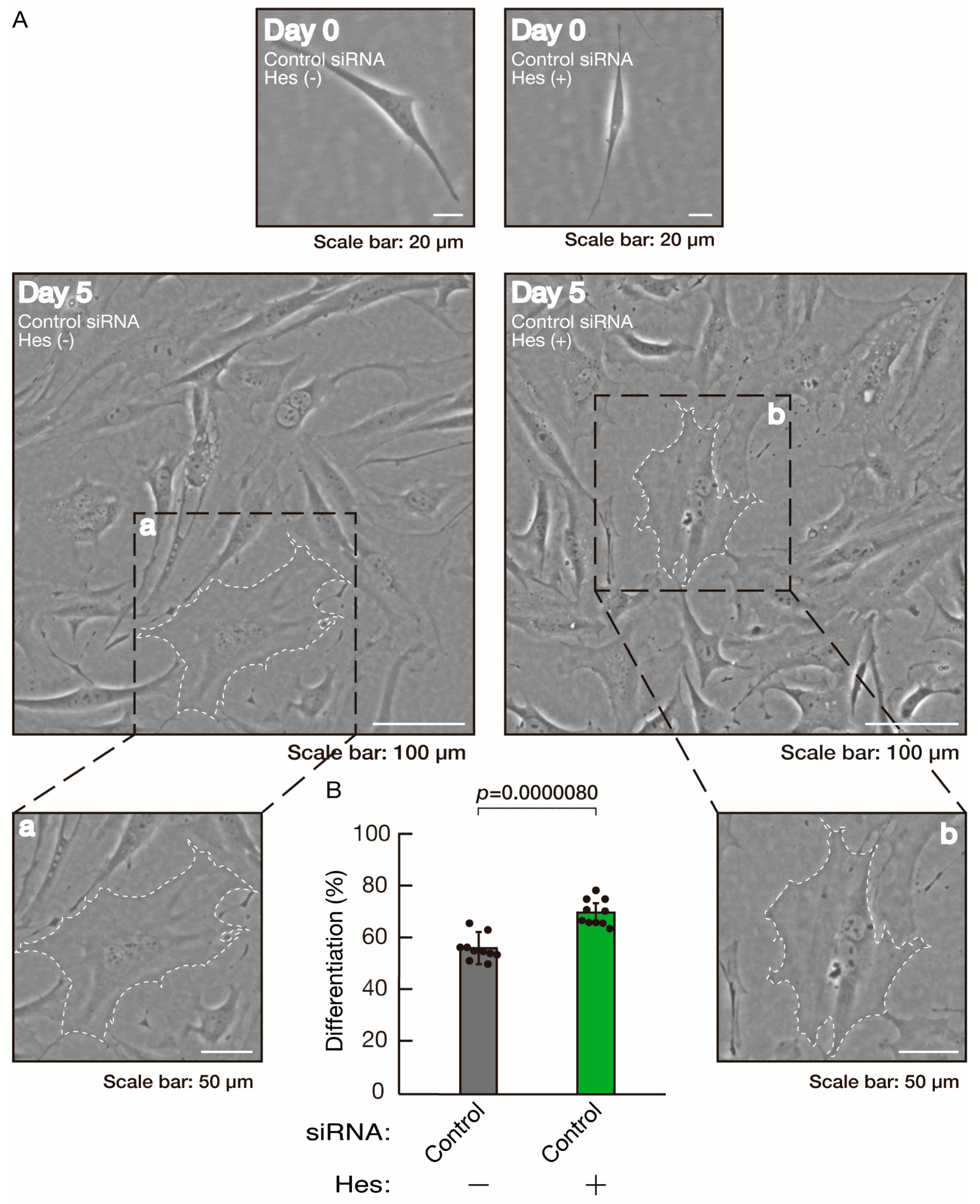 Neurolint 16 00003 g010