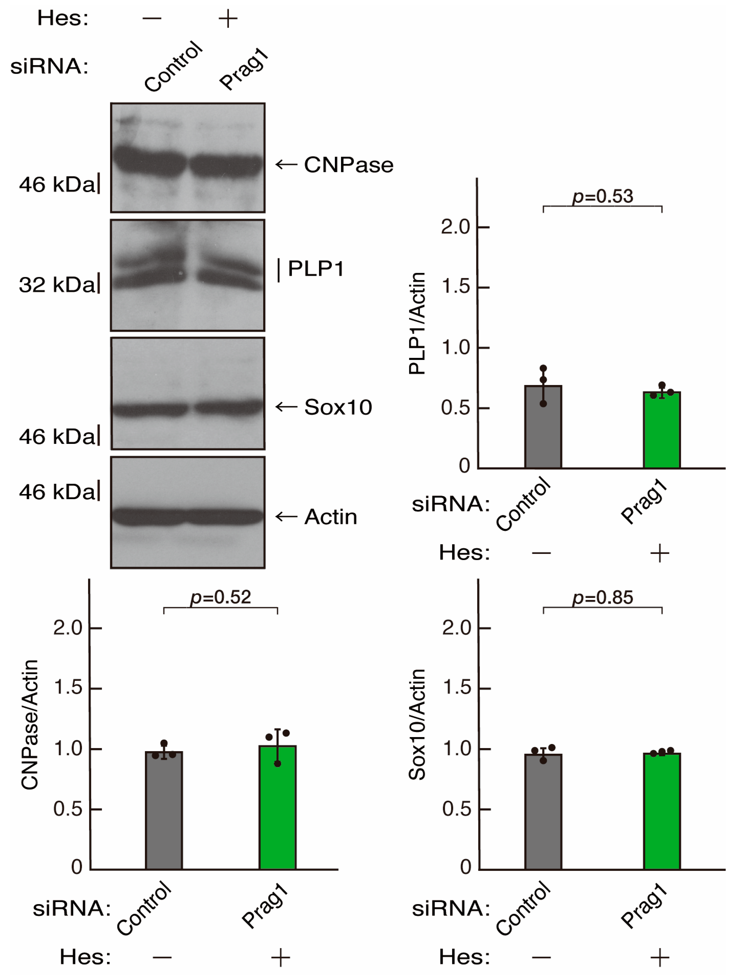 Neurolint 16 00003 g015
