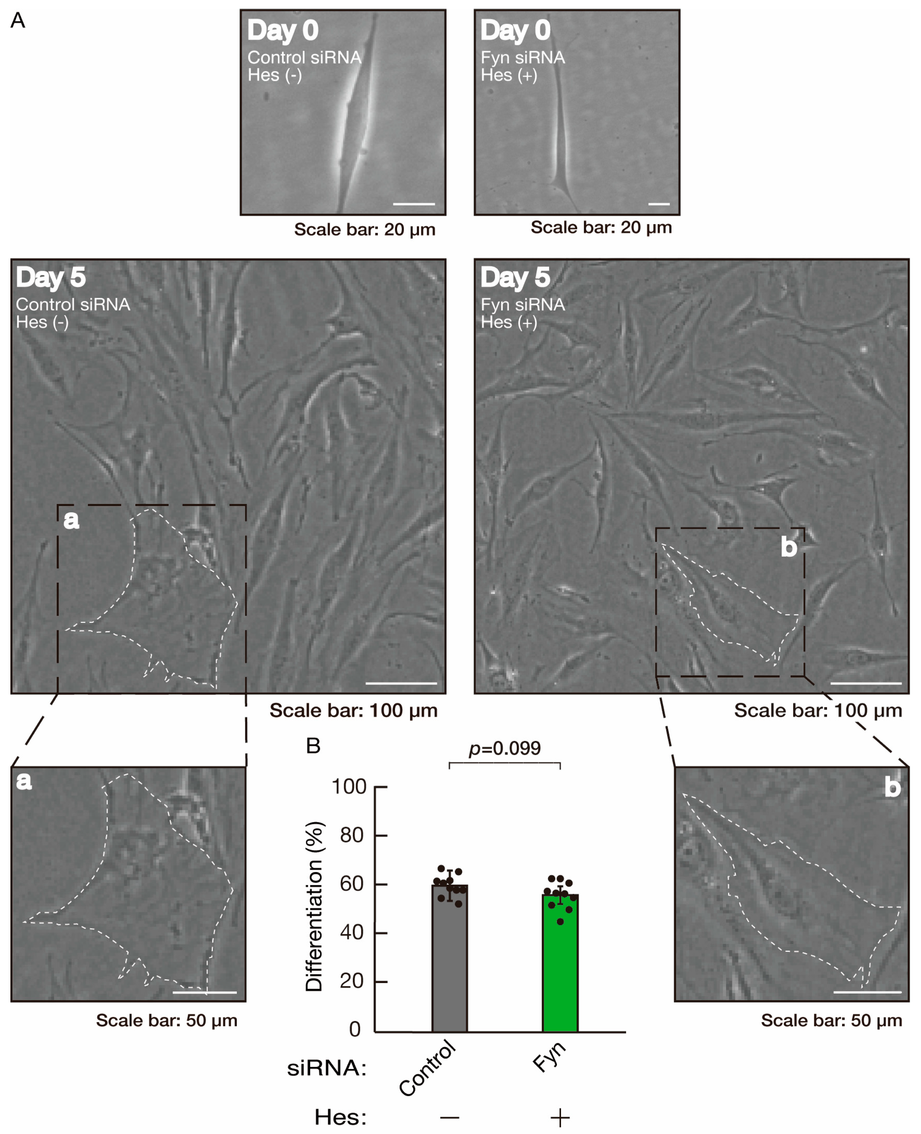 Neurolint 16 00003 g016