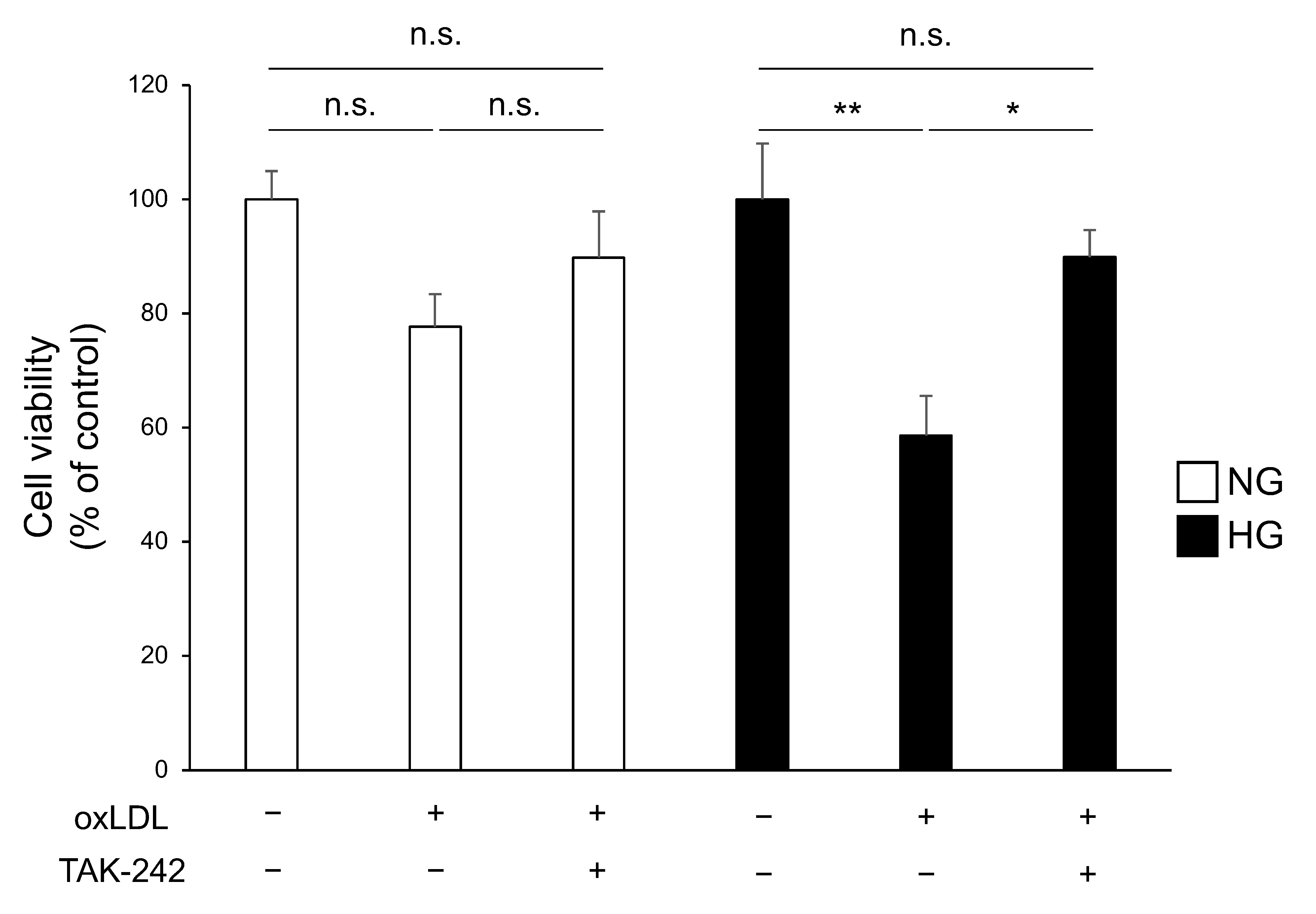 Neurolint 16 00027 g004