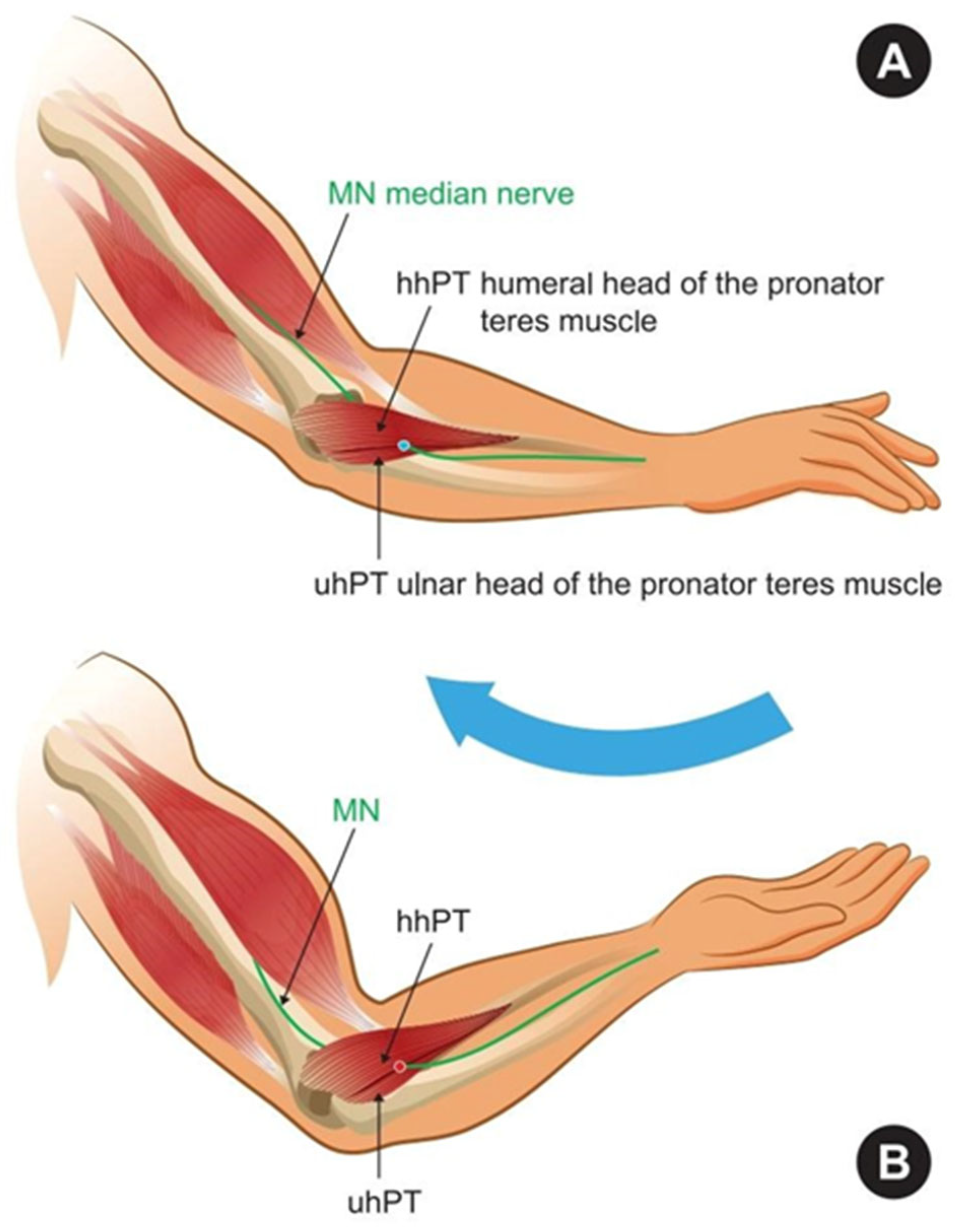 Neurolint 17 00169 g001 Neurolint 17 00169 g001