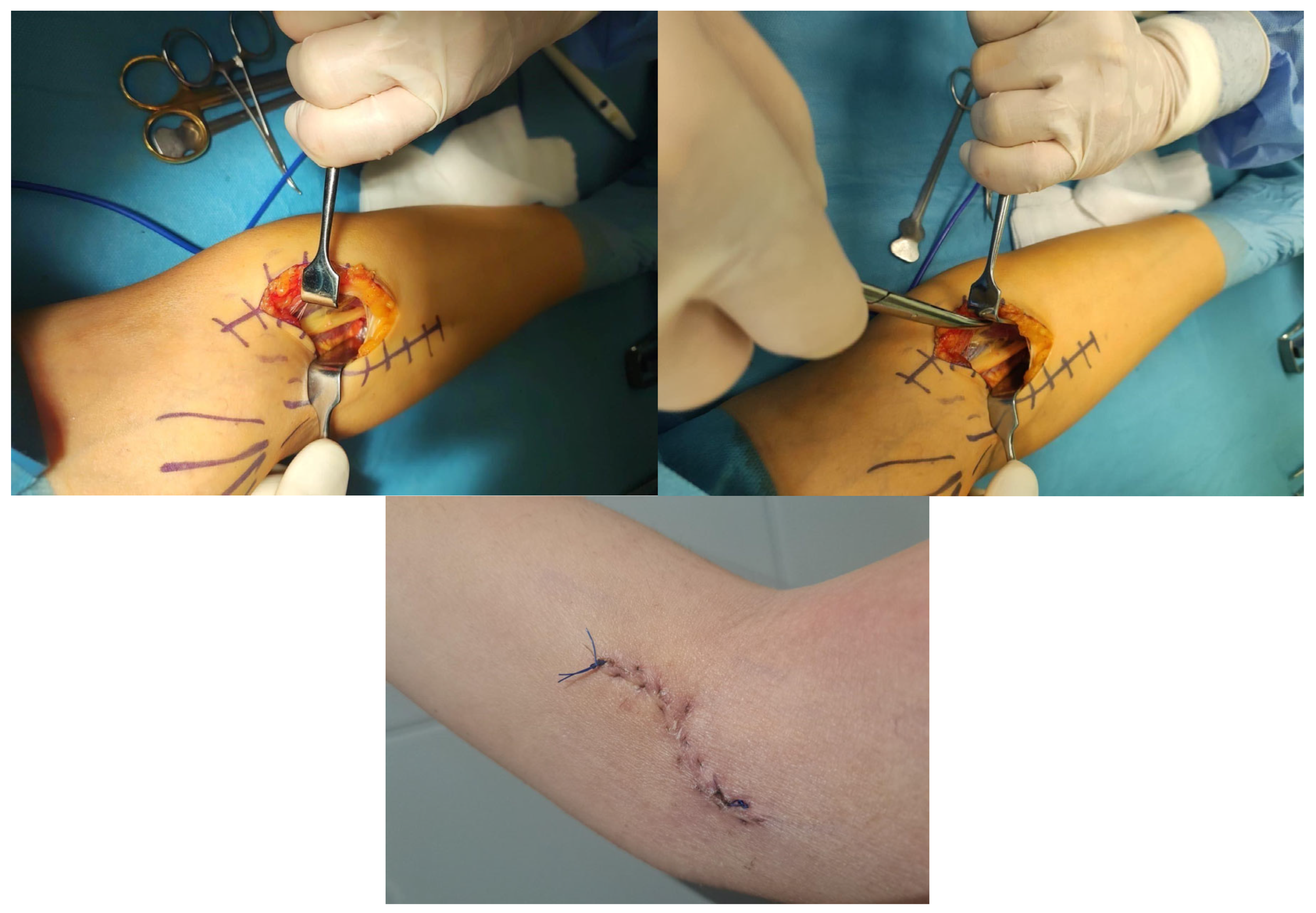 Neurolint 17 00169 g003 Neurolint 17 00169 g003