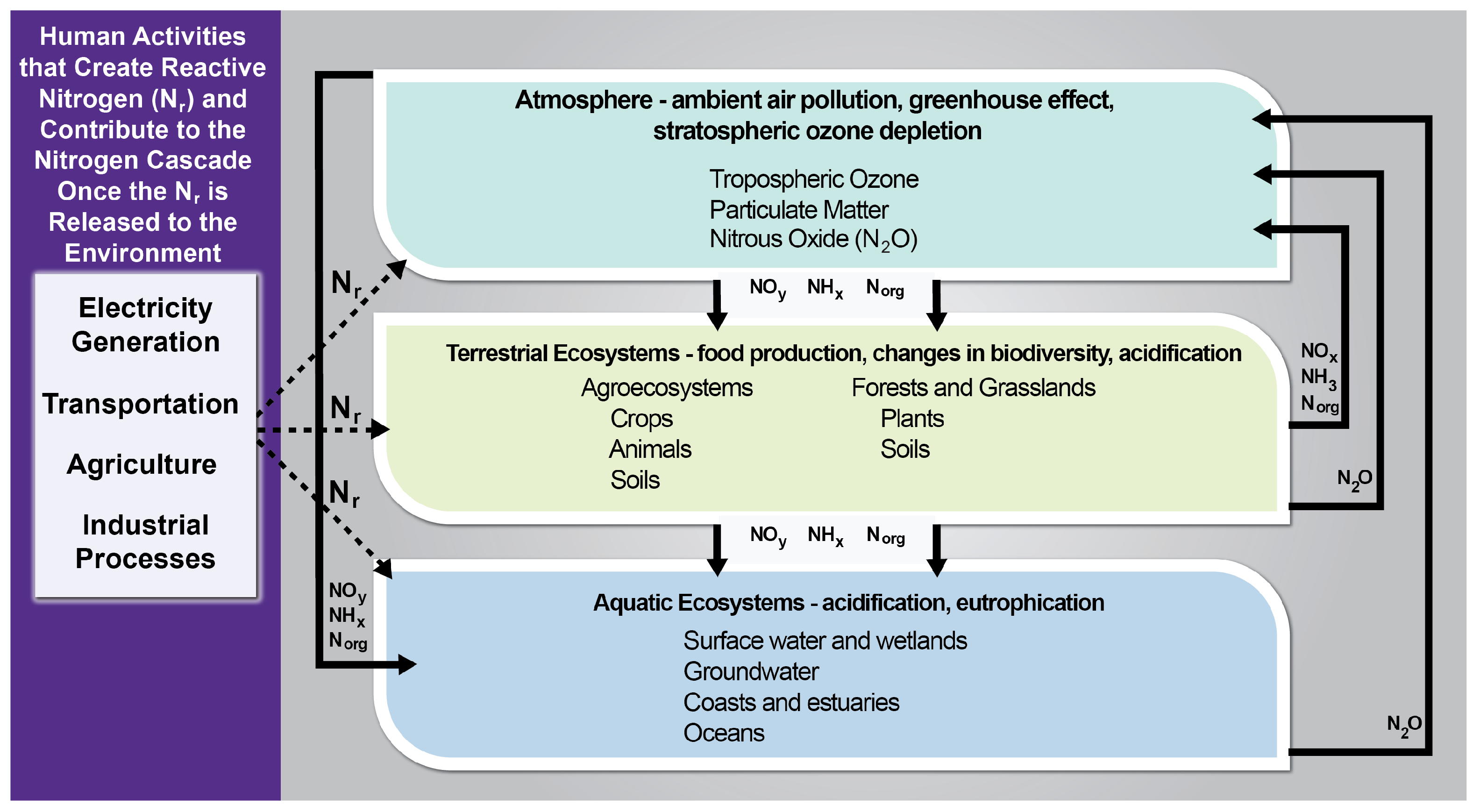Nitrogen 03 00008 g002