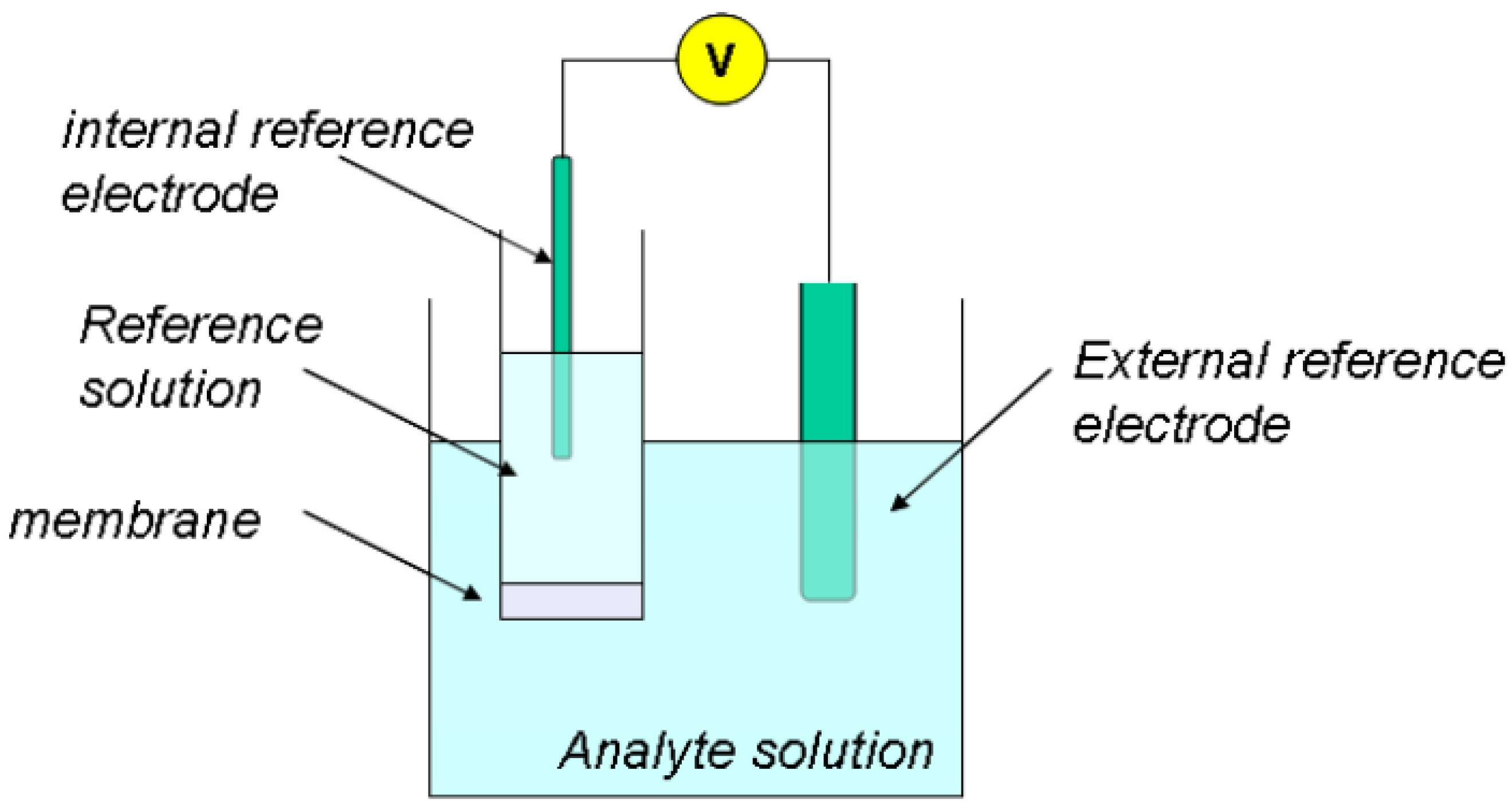 Nitrogen 03 00008 g006