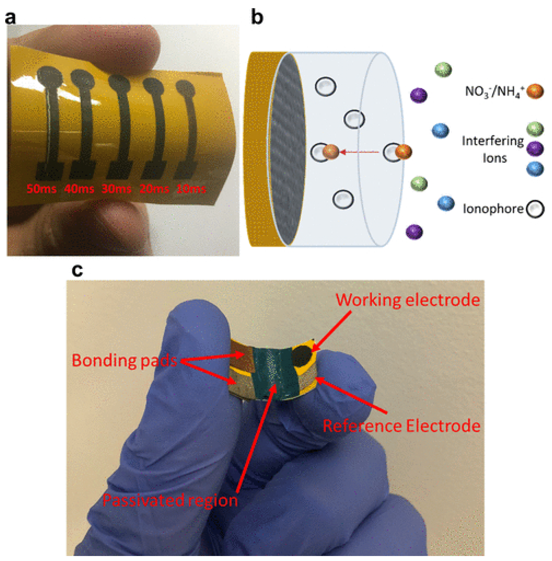 Nitrogen 03 00008 g007