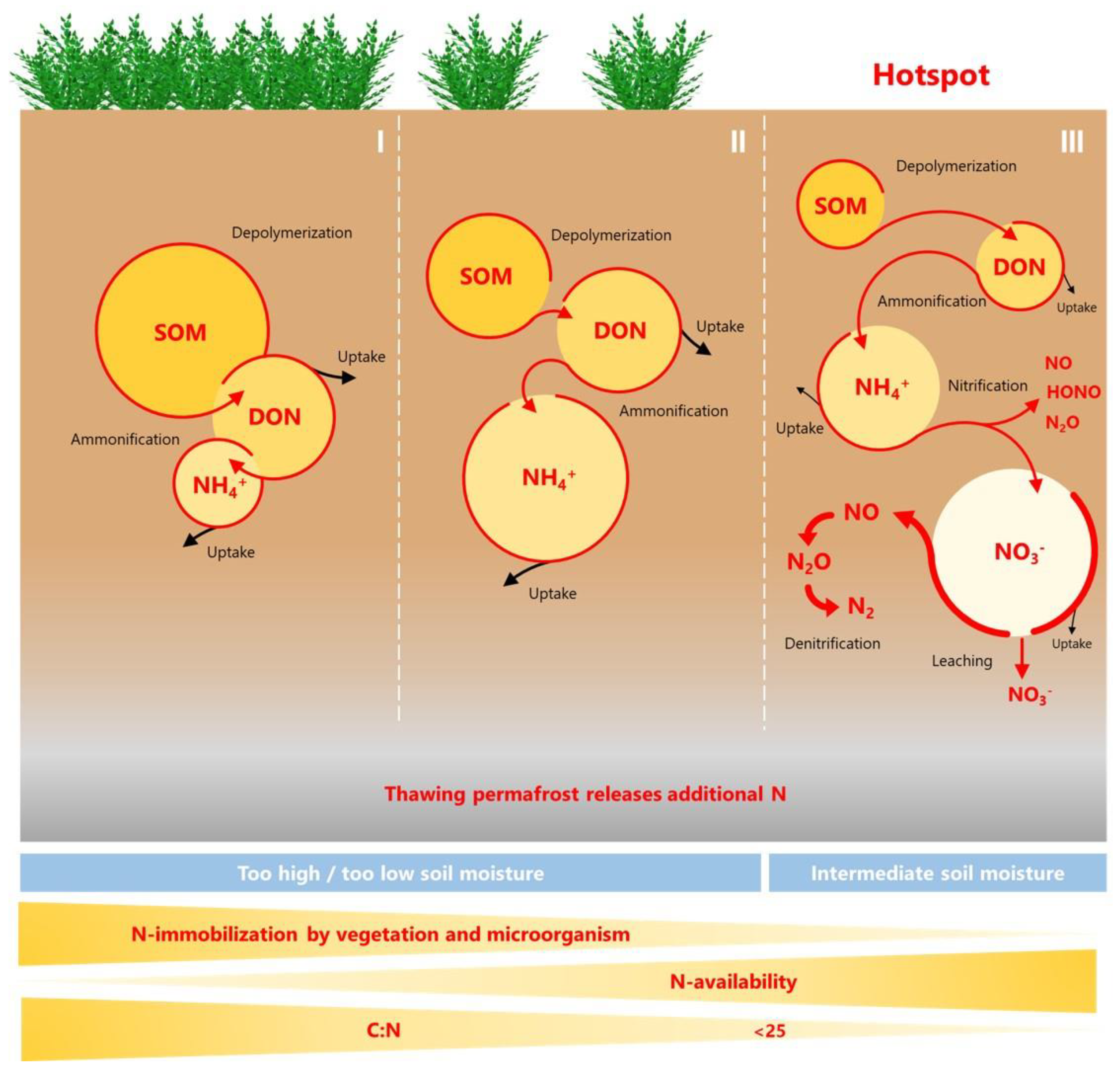 Nitrogen 03 00031 g002