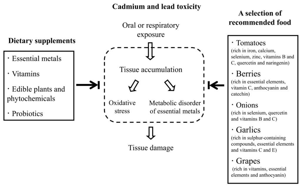 Nutrients | Free Full-Text | Dietary Strategies for the Treatment of