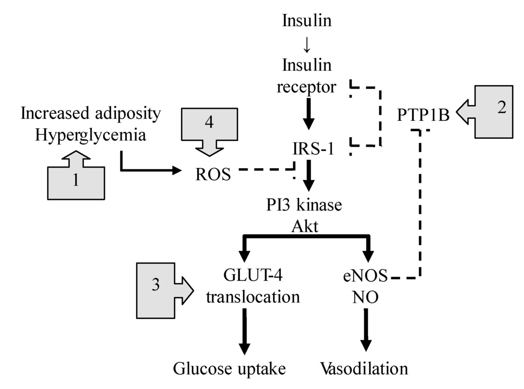 Lifestyle disease - Wikipedia, the free encyclopedia