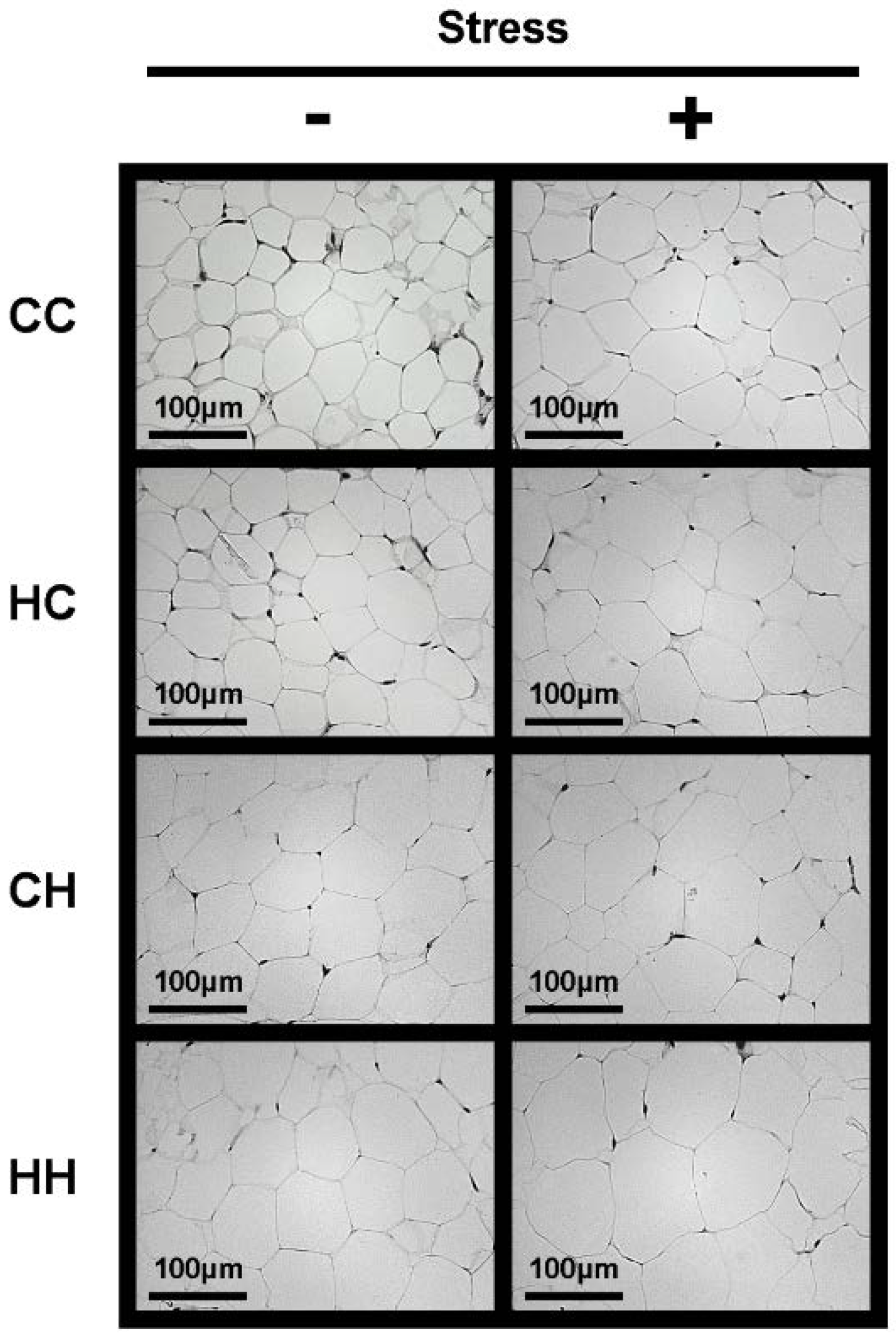 Nutrients 07 05257 g003