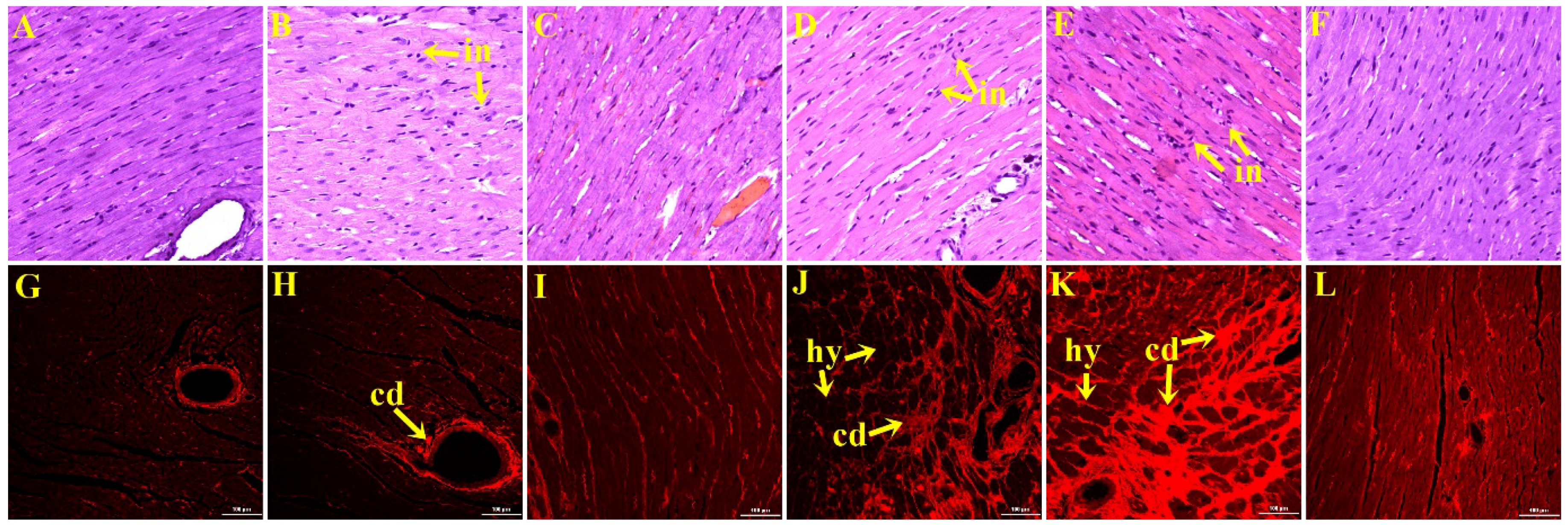 Nutrients 07 05360 g001