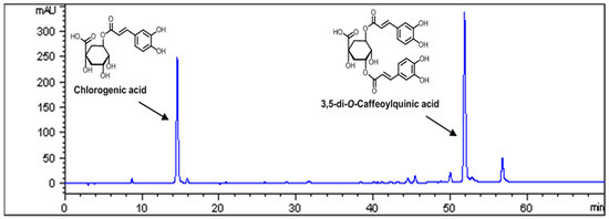 The Extract of Aster Koraiensis Prevents Retinal Pericyte Apoptosis in Diabetic Rats and Its Active Compound, Chlorogenic Acid Inhibits AGE Formation and AGE-RAGE Interaction The Extract of Aster Koraiensis Prevents Retinal Pericyte Apoptosis in Diabetic Rats and Its Active Compound, Chlorogenic Acid Inhibits AGE Formation and AGE-RAGE Interaction