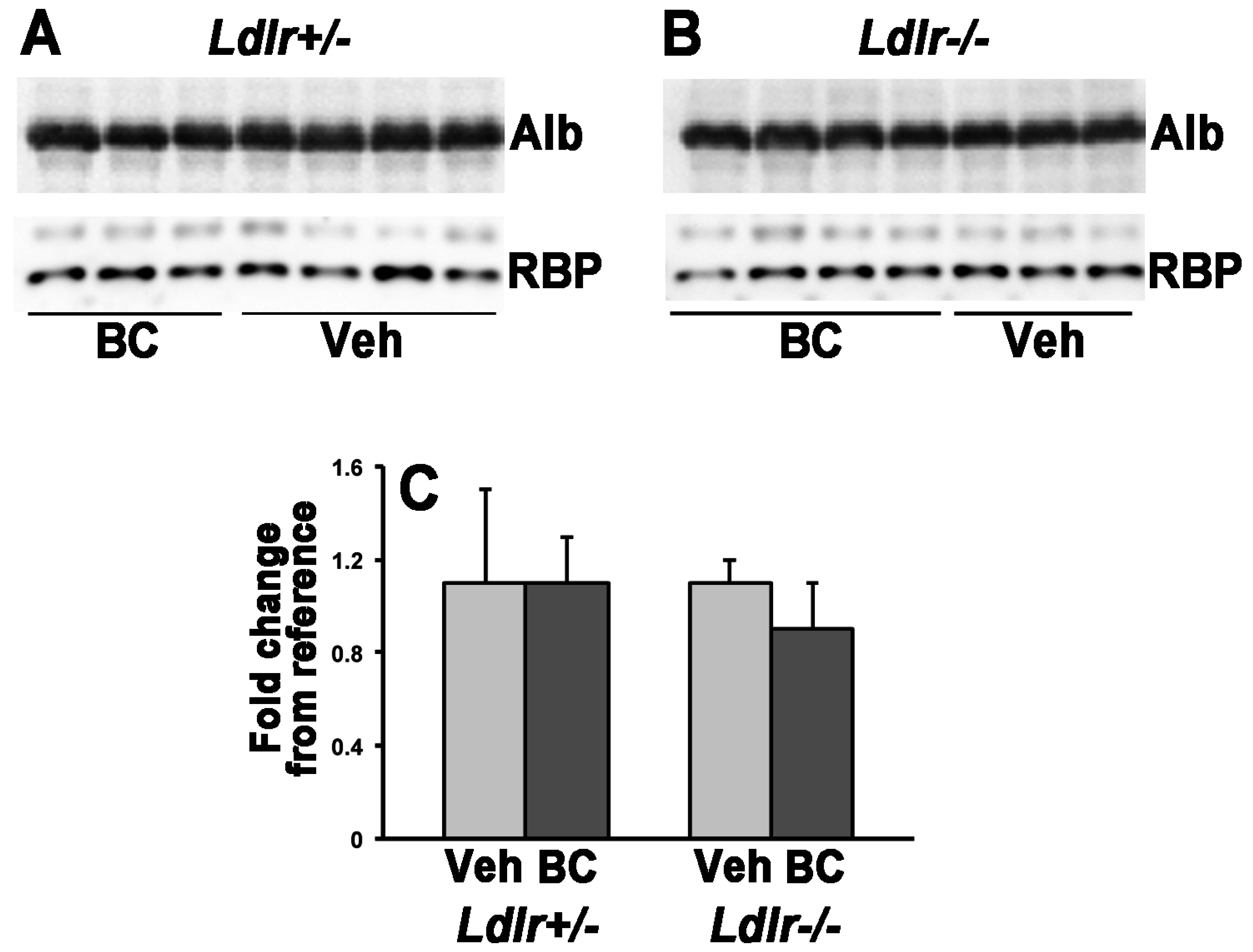 Nutrients 08 00765 g002