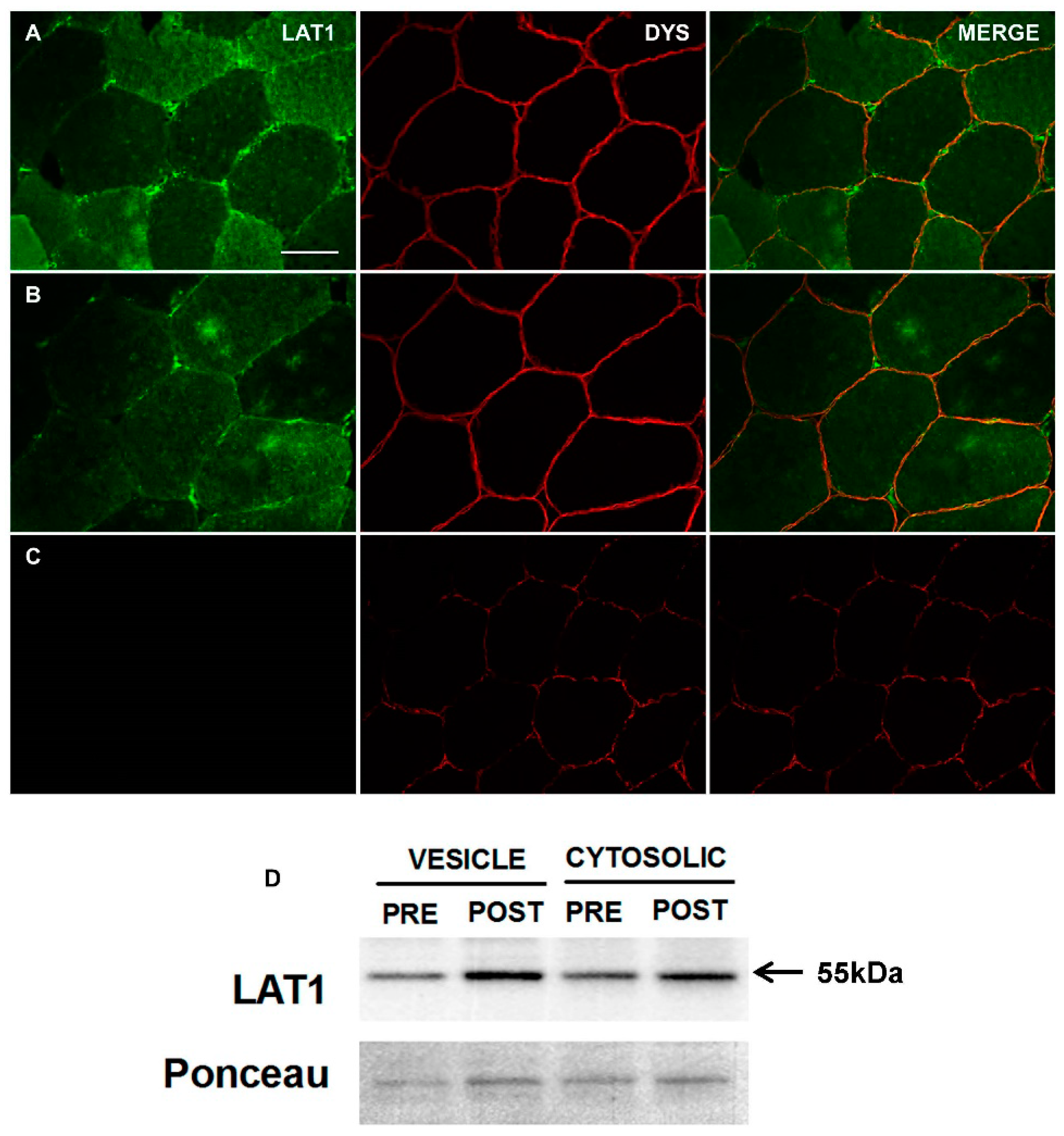 Nutrients 10 00023 g002