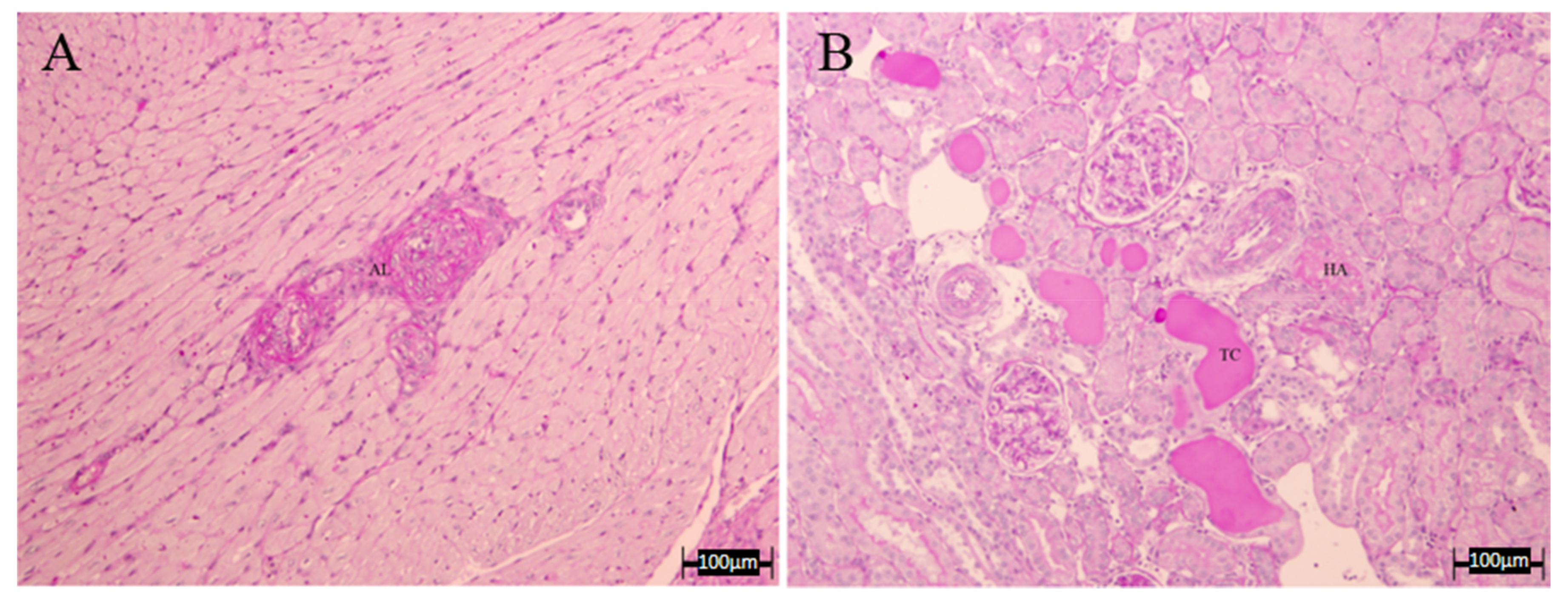 Nutrients 10 00484 g008