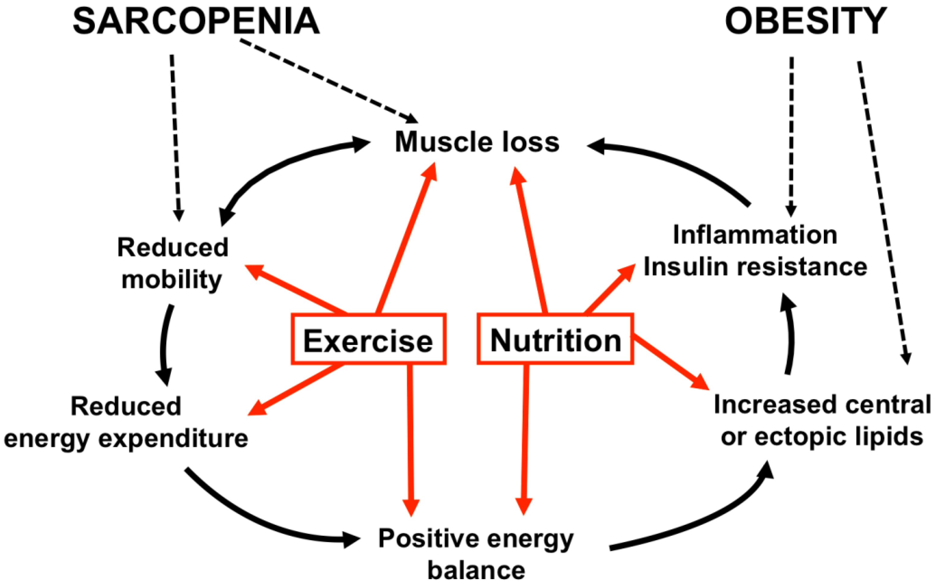 Nutrients | Free Full-Text | Exercise and Nutrition Strategies to