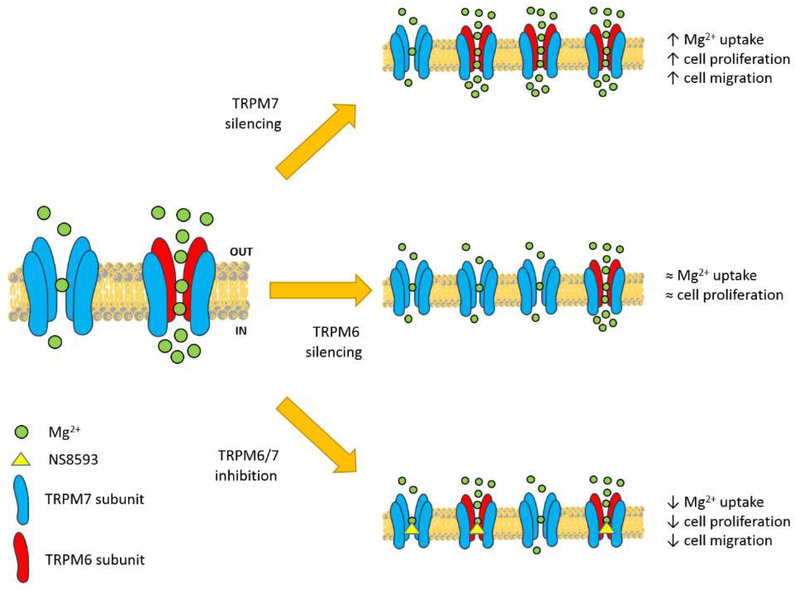 Nutrients 10 00784 g006