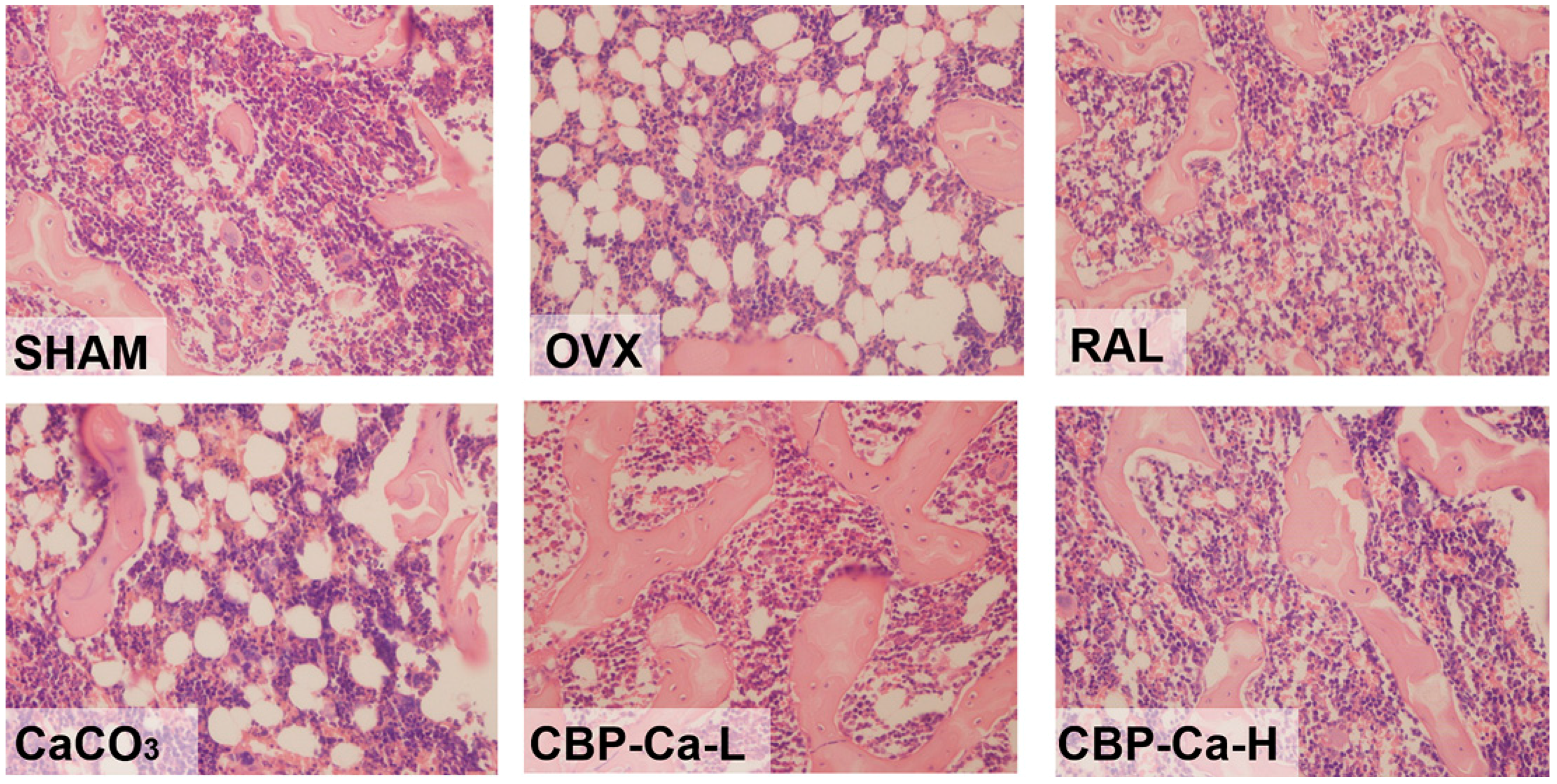 Nutrients 10 01325 g005