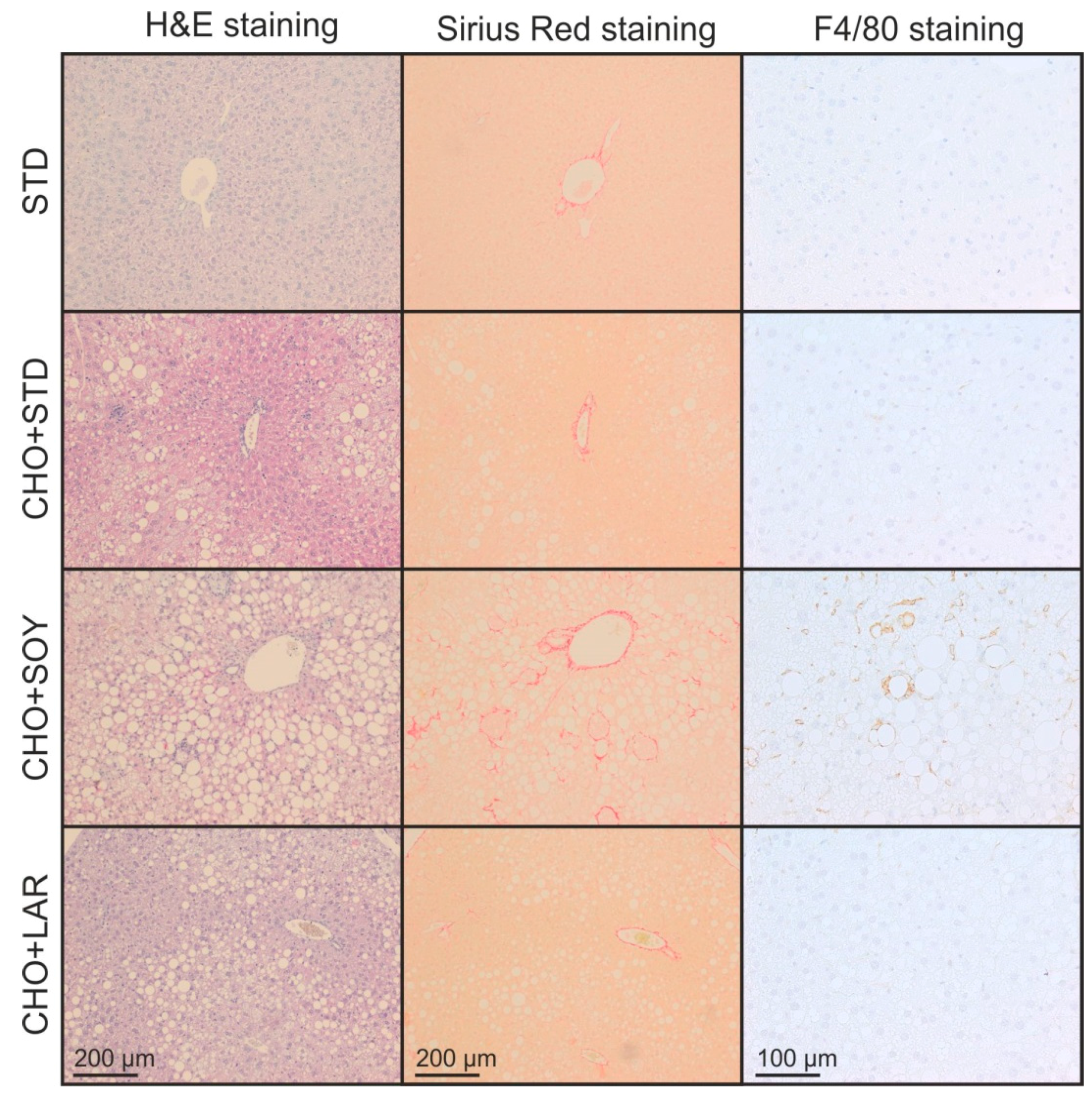 Nutrients 10 01326 g004 Nutrients 10 01326 g004
