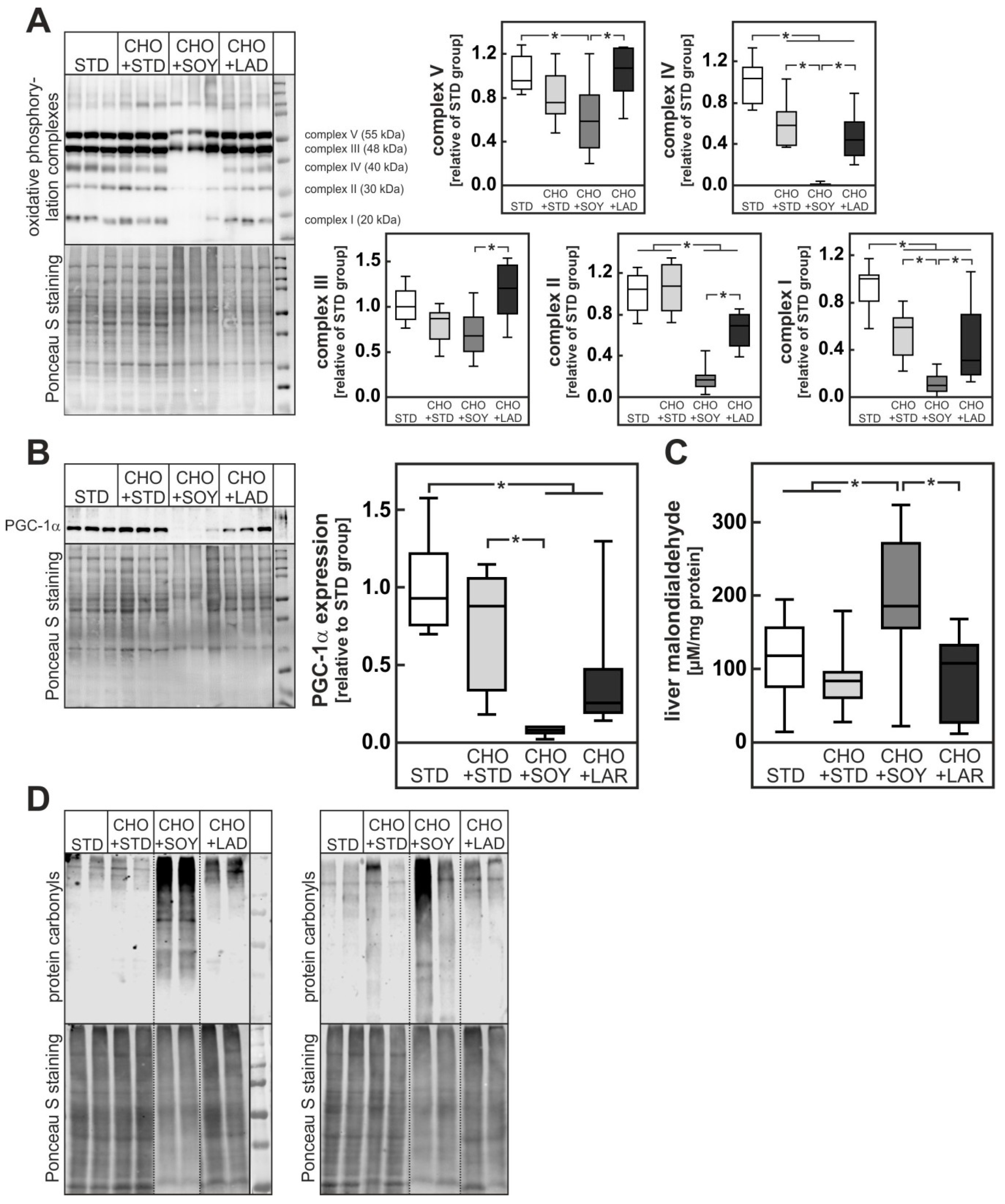 Nutrients 10 01326 g006 Nutrients 10 01326 g006