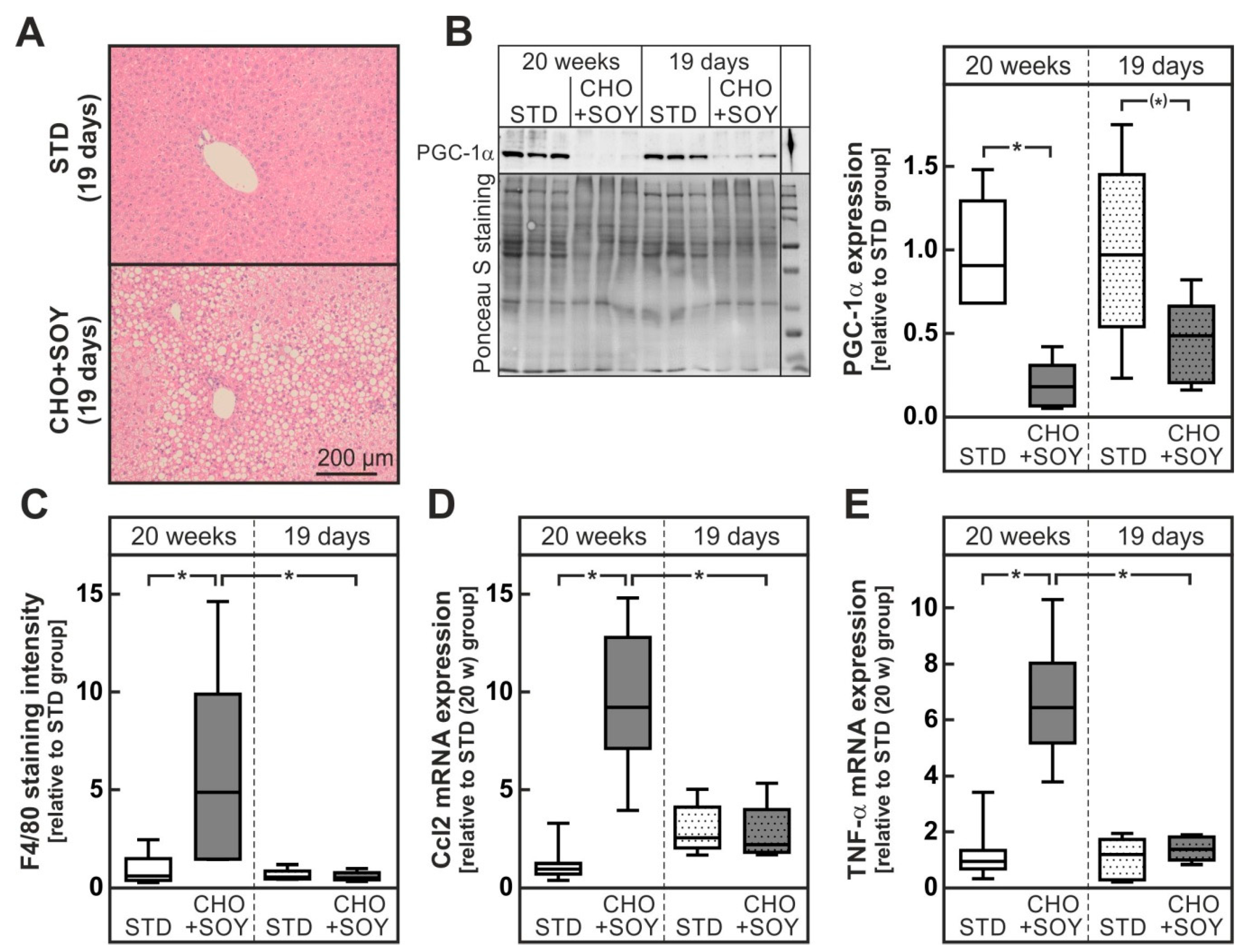 Nutrients 10 01326 g007 Nutrients 10 01326 g007