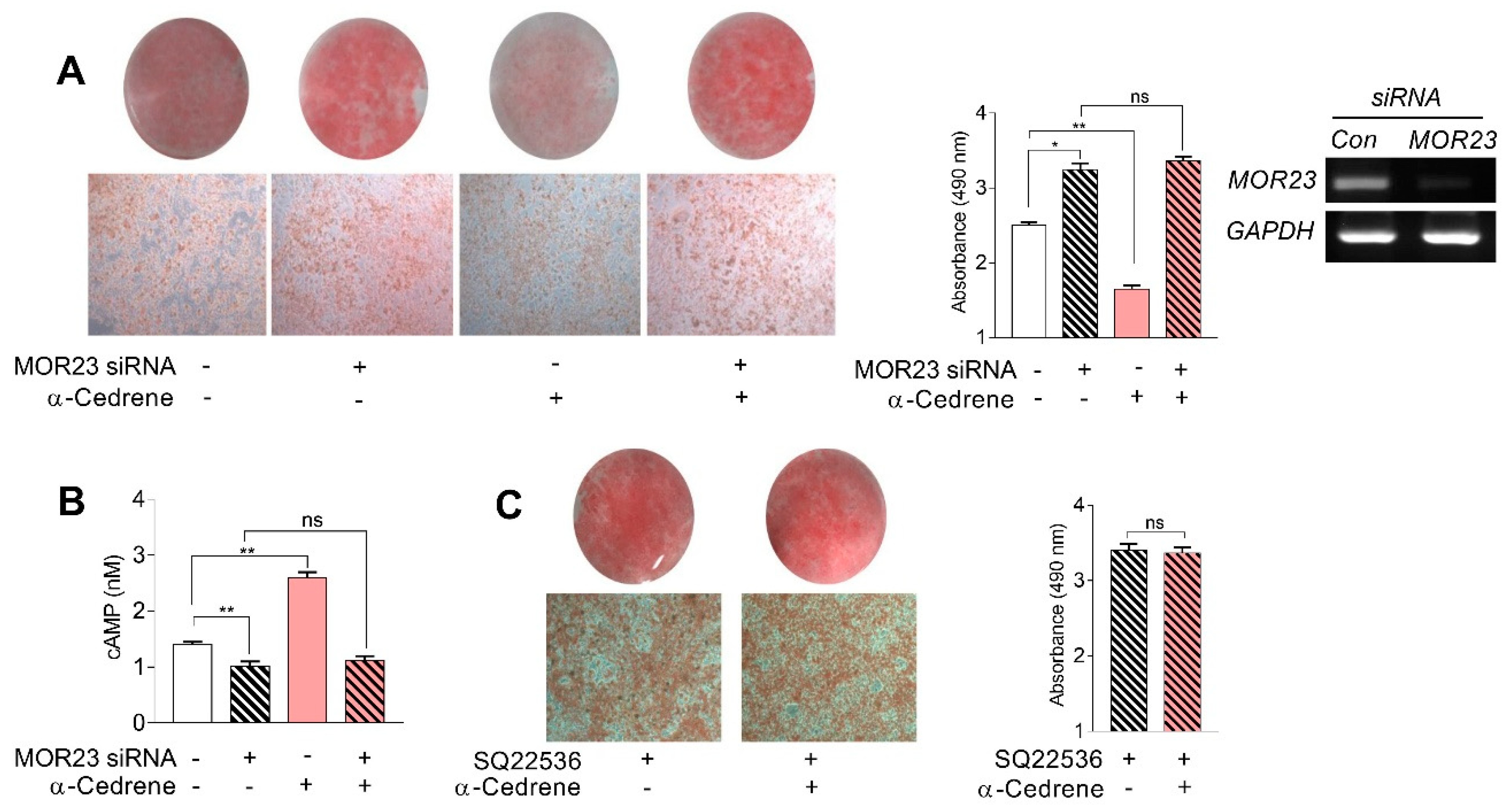 Nutrients 10 01781 g001