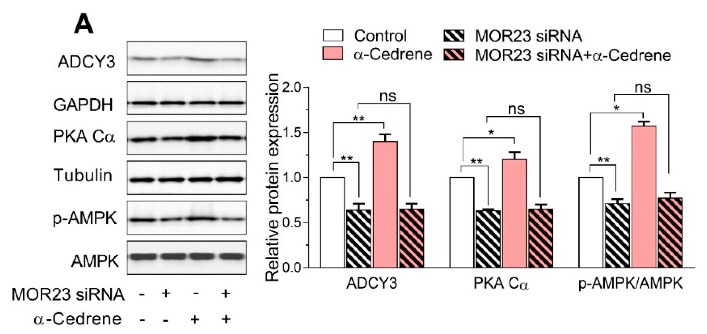 Nutrients 10 01781 g002a