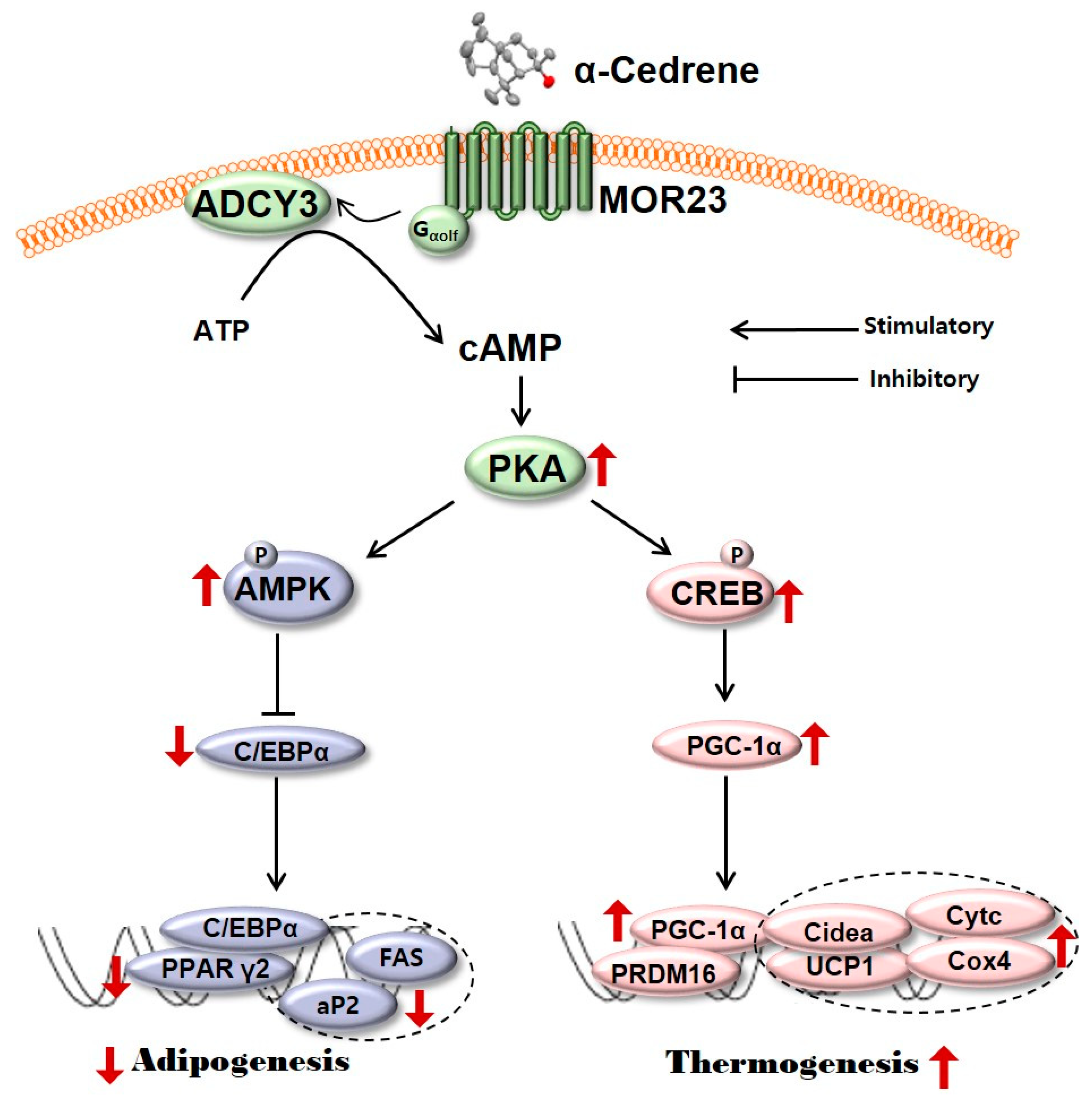 Nutrients 10 01781 g005